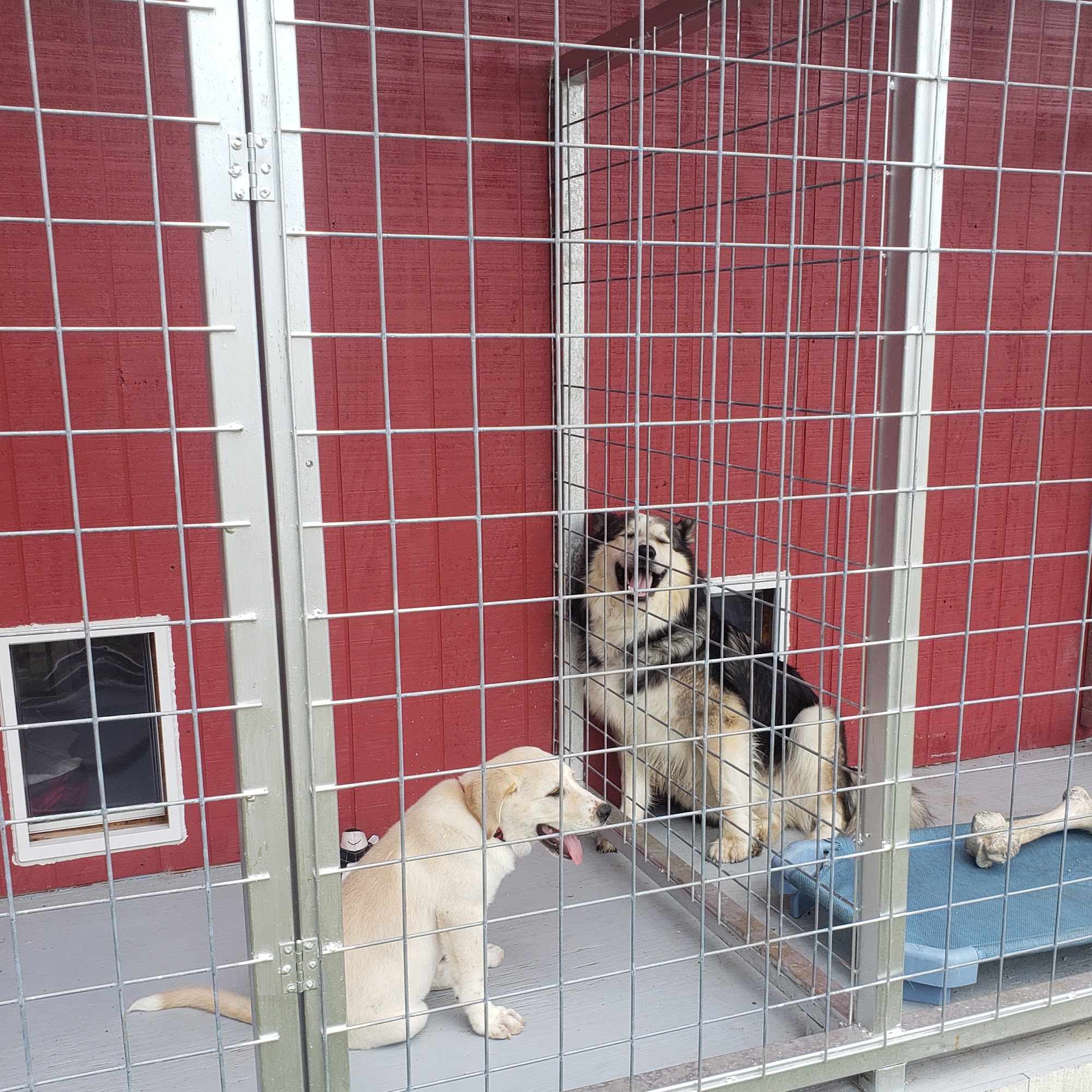 I 35 Kennel and Dog Training LLC Lorena