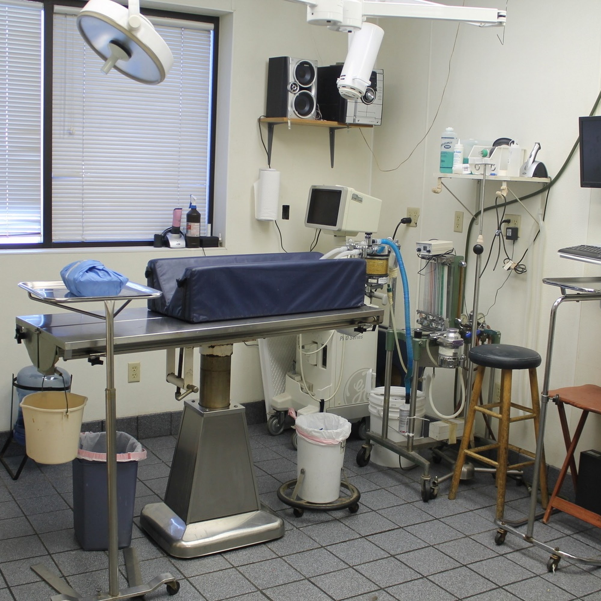 Animal Hospital of Lubbock Lubbock