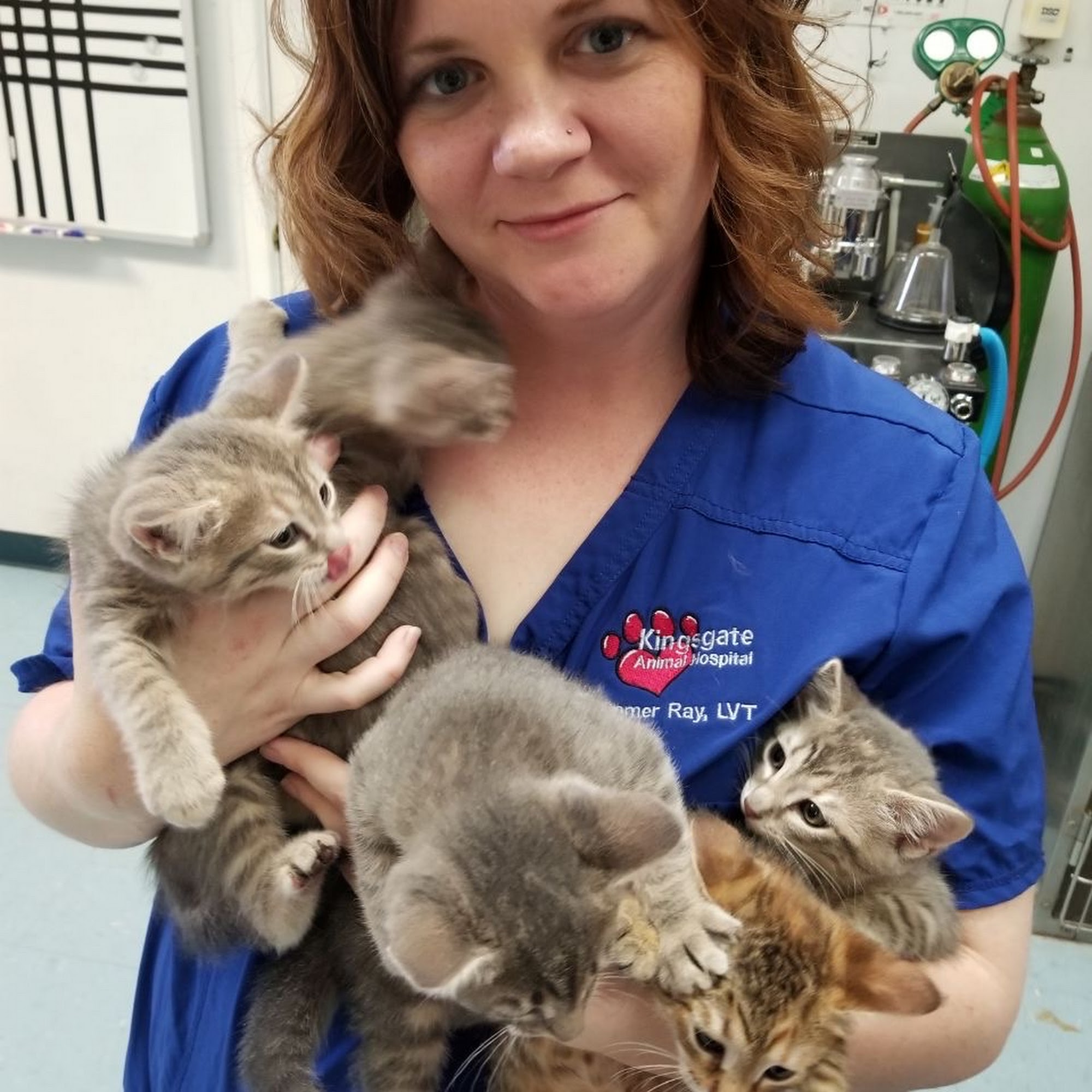 Kingsgate Animal Hospital Lubbock