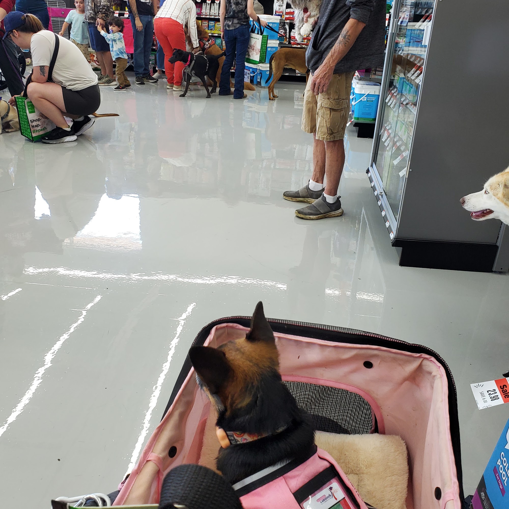 Pet Supplies Plus Lubbock Lubbock