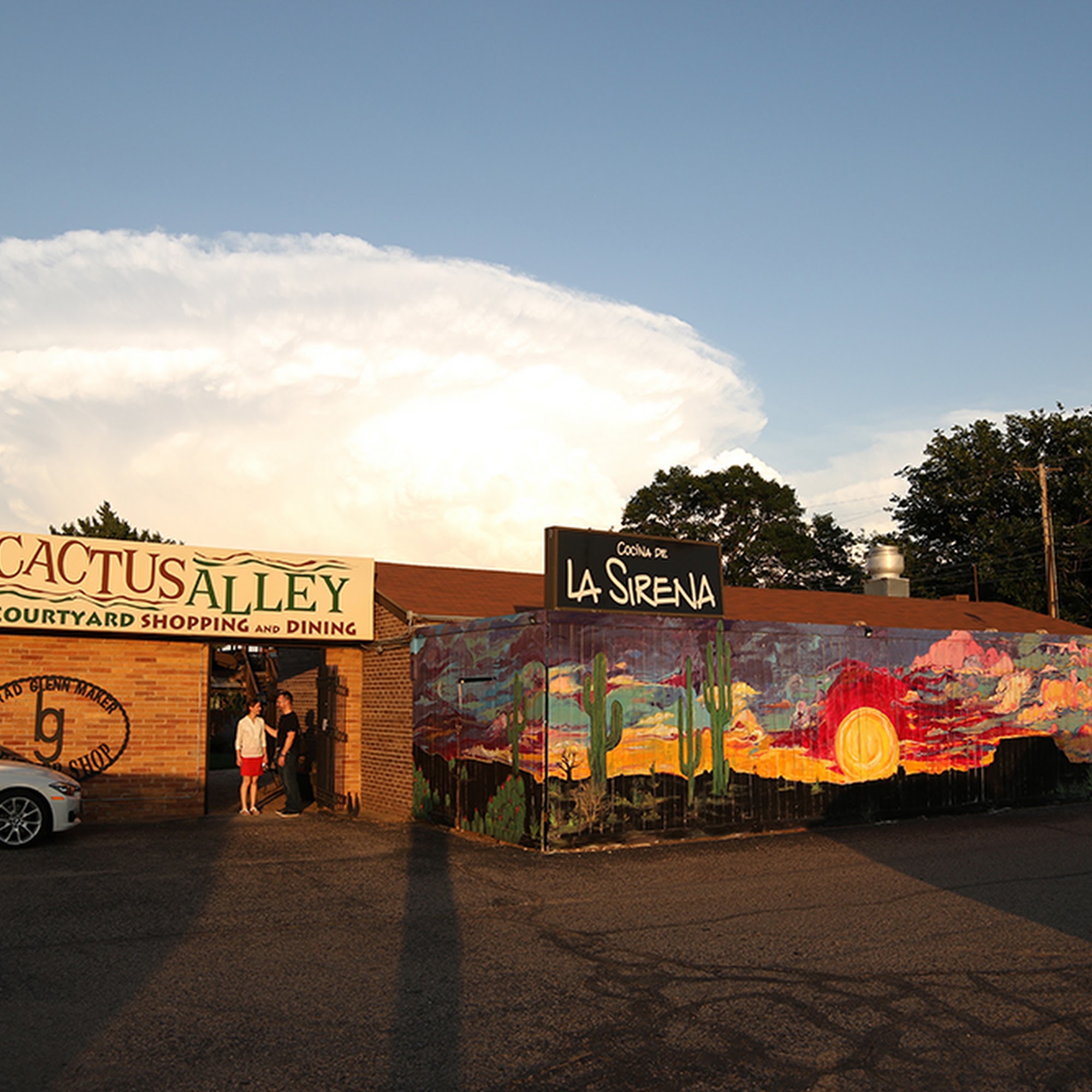 Cactus Alley Lubbock