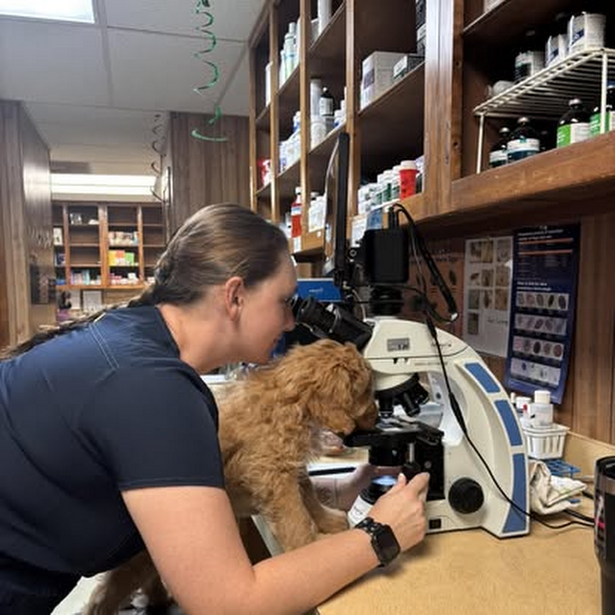 Chisholm Trail Veterinary Clinic of Luling Luling