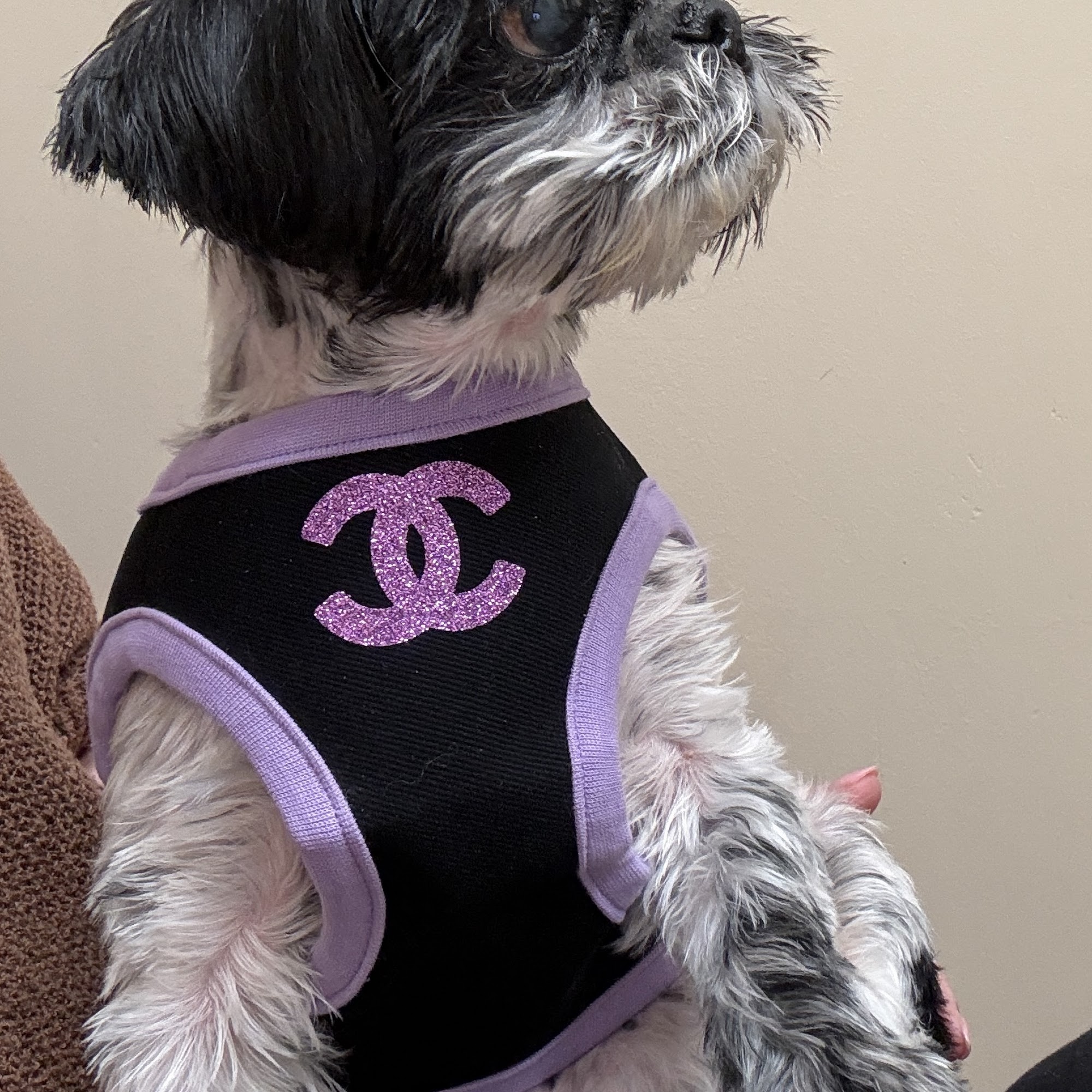 Bear Branch Animal Hospital Magnolia