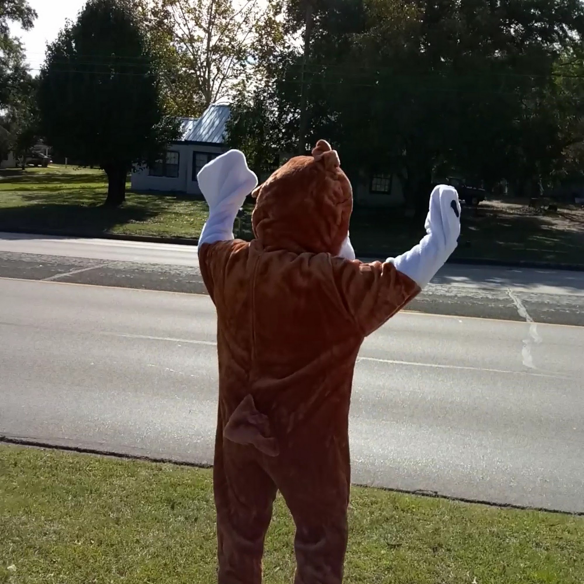 Paw boss malakoff Malakoff