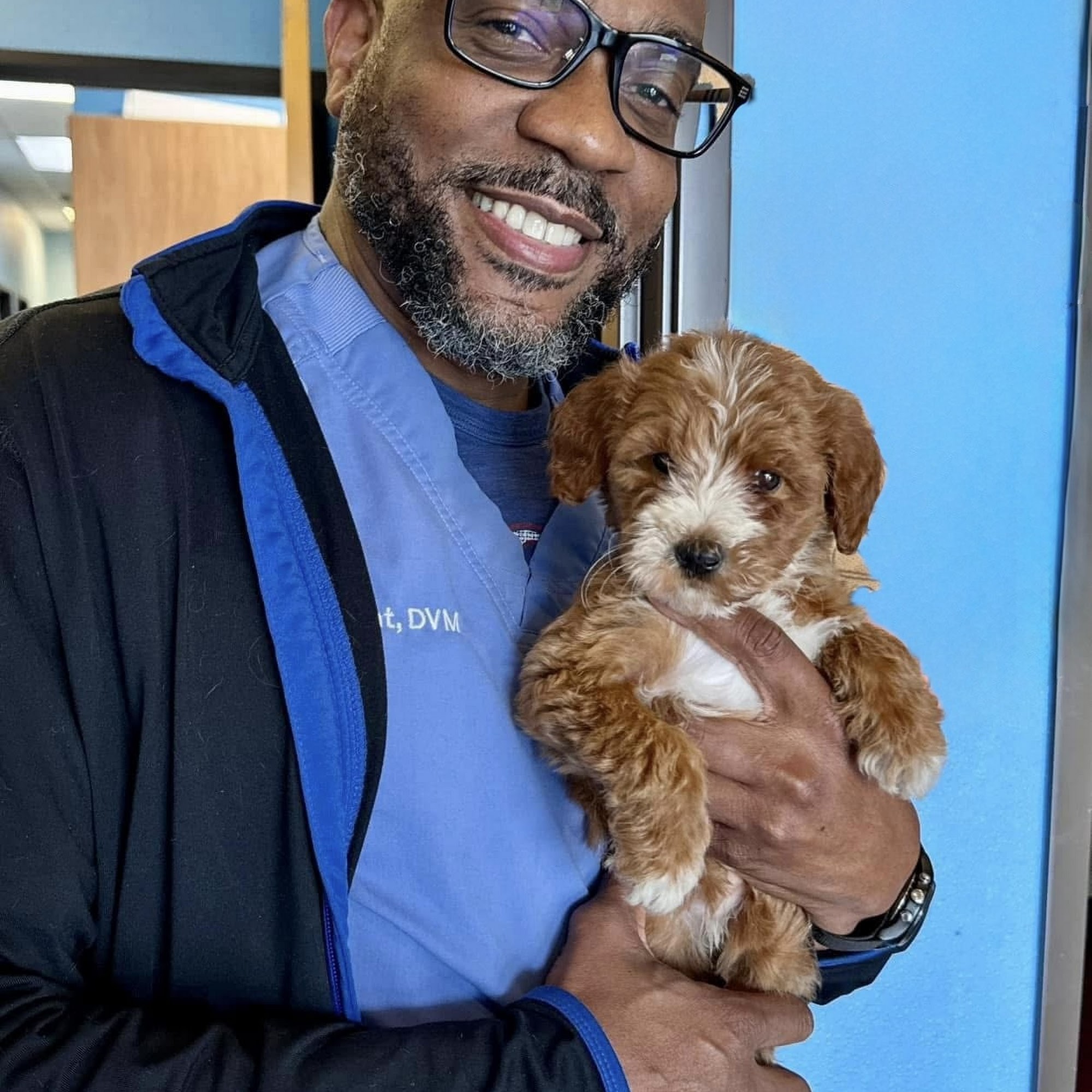 Mira Lagos Animal Clinic Mansfield