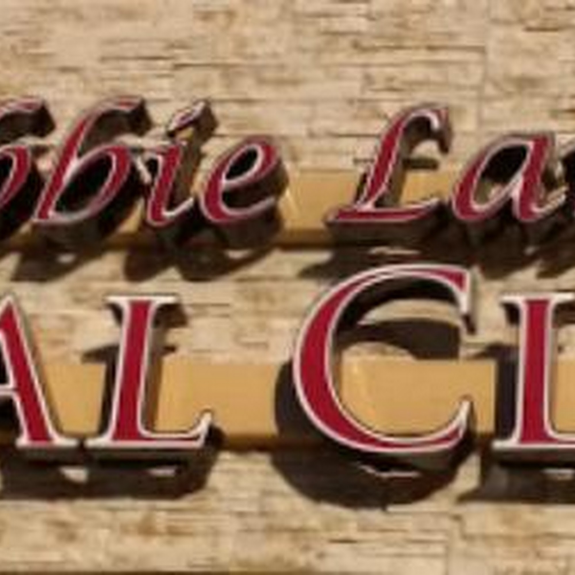 Debbie Lane Animal Clinic Mansfield