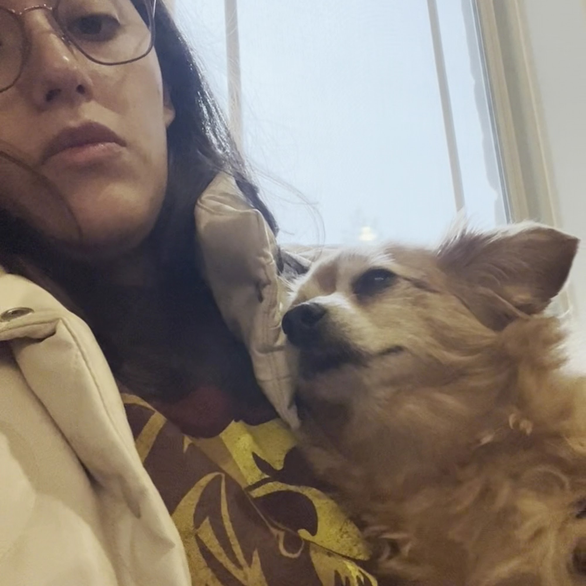 Animal Emergency Hospital of Mansfield Mansfield