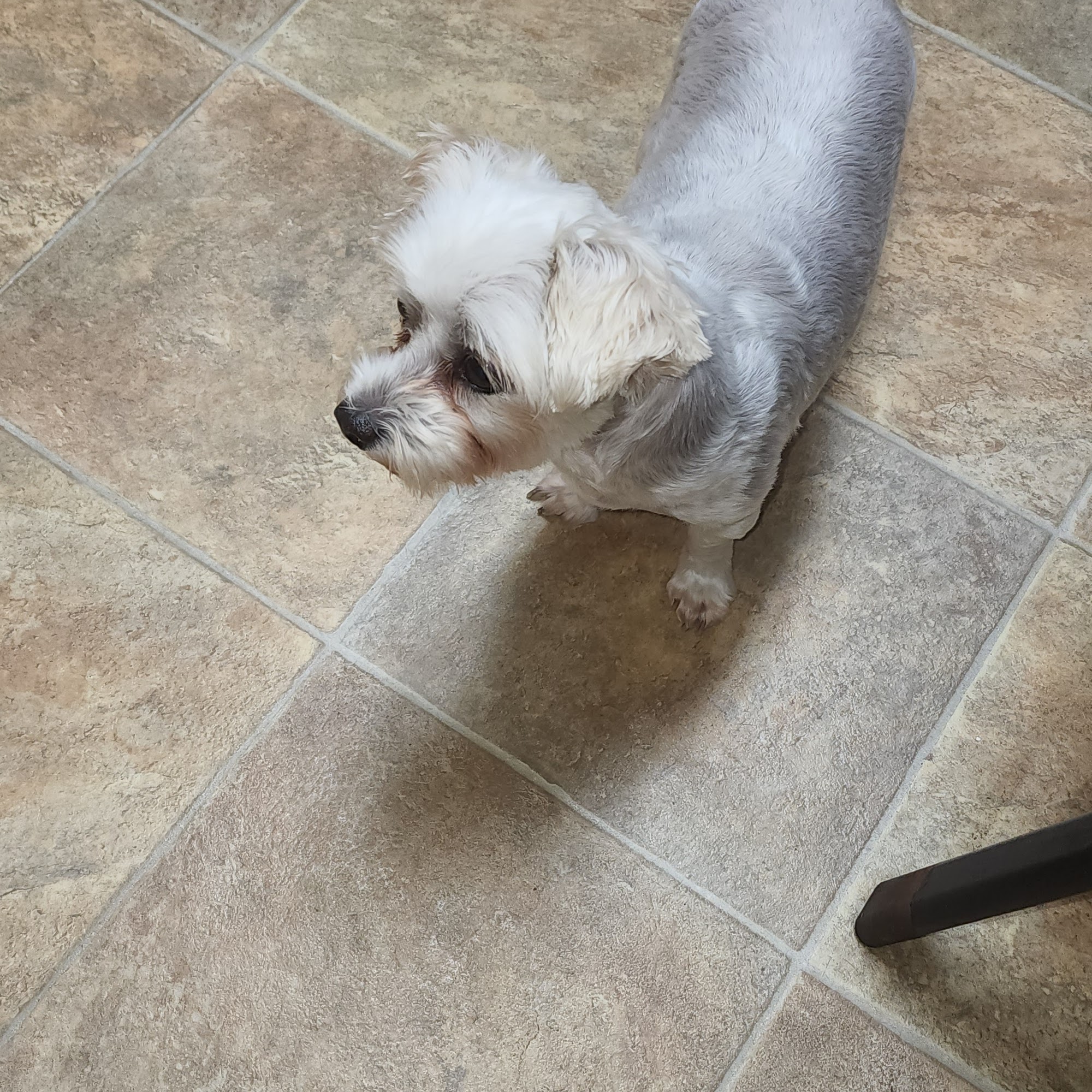 Dr. Gina Varns Manvel