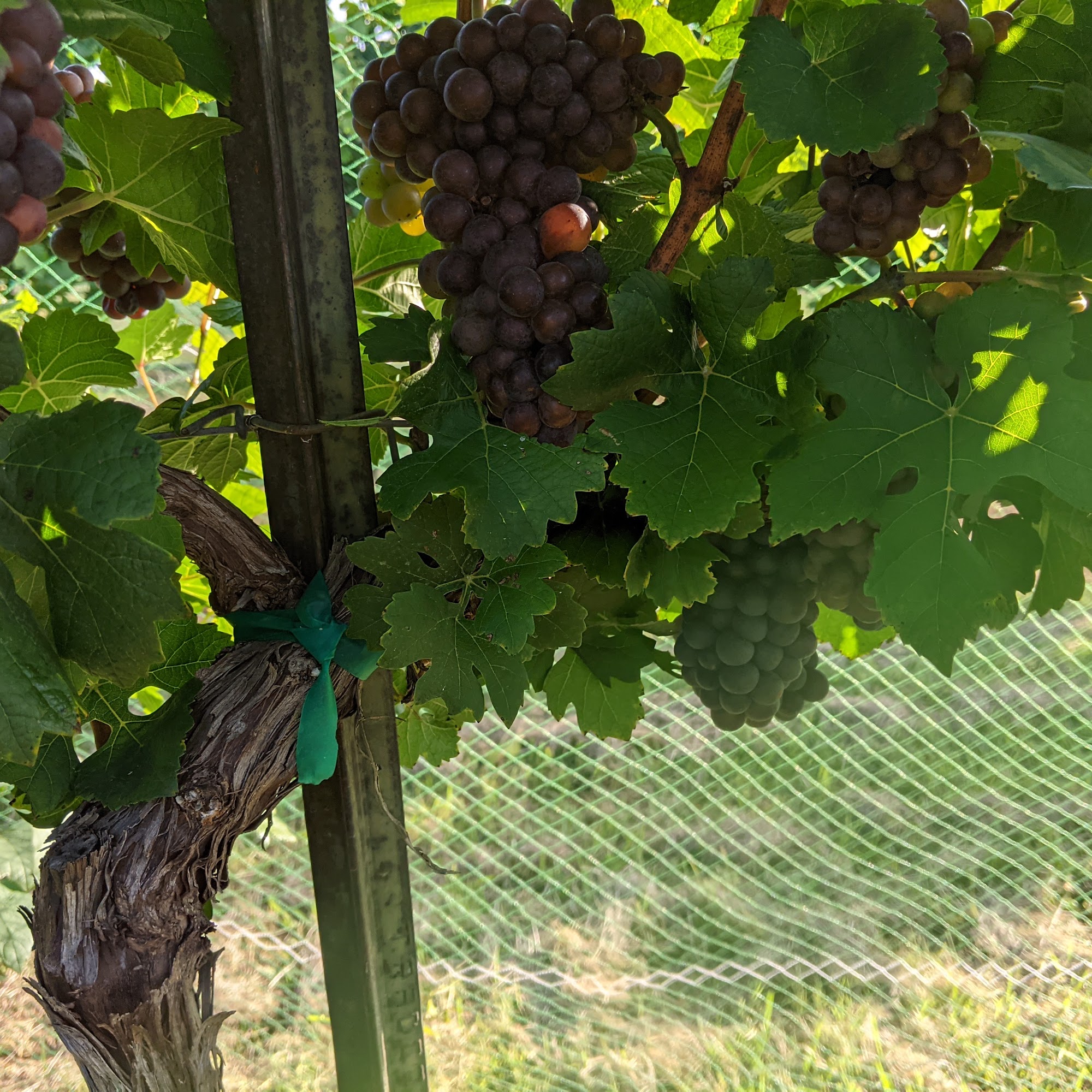 The Club House at Flat Creek Estate Marble Falls
