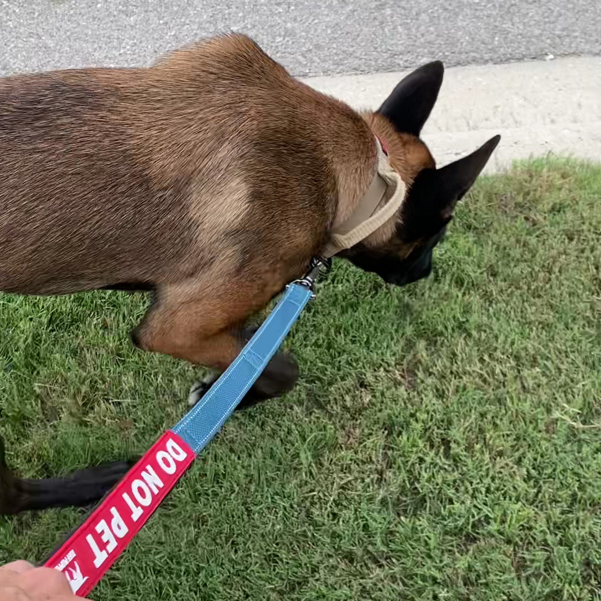 Sit Means Sit Cibolo Marion