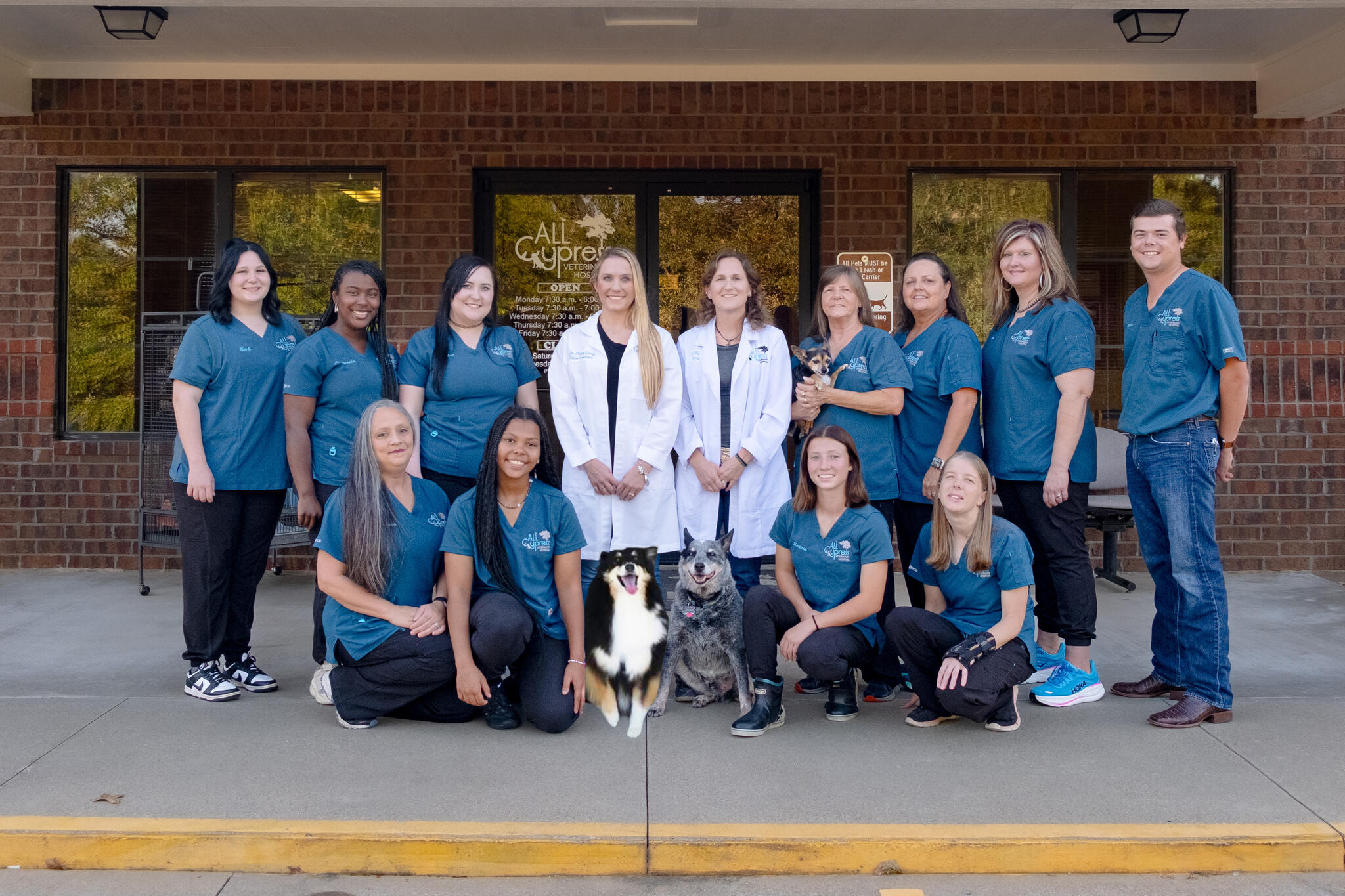 All Cypress Veterinary Hospital Marshall