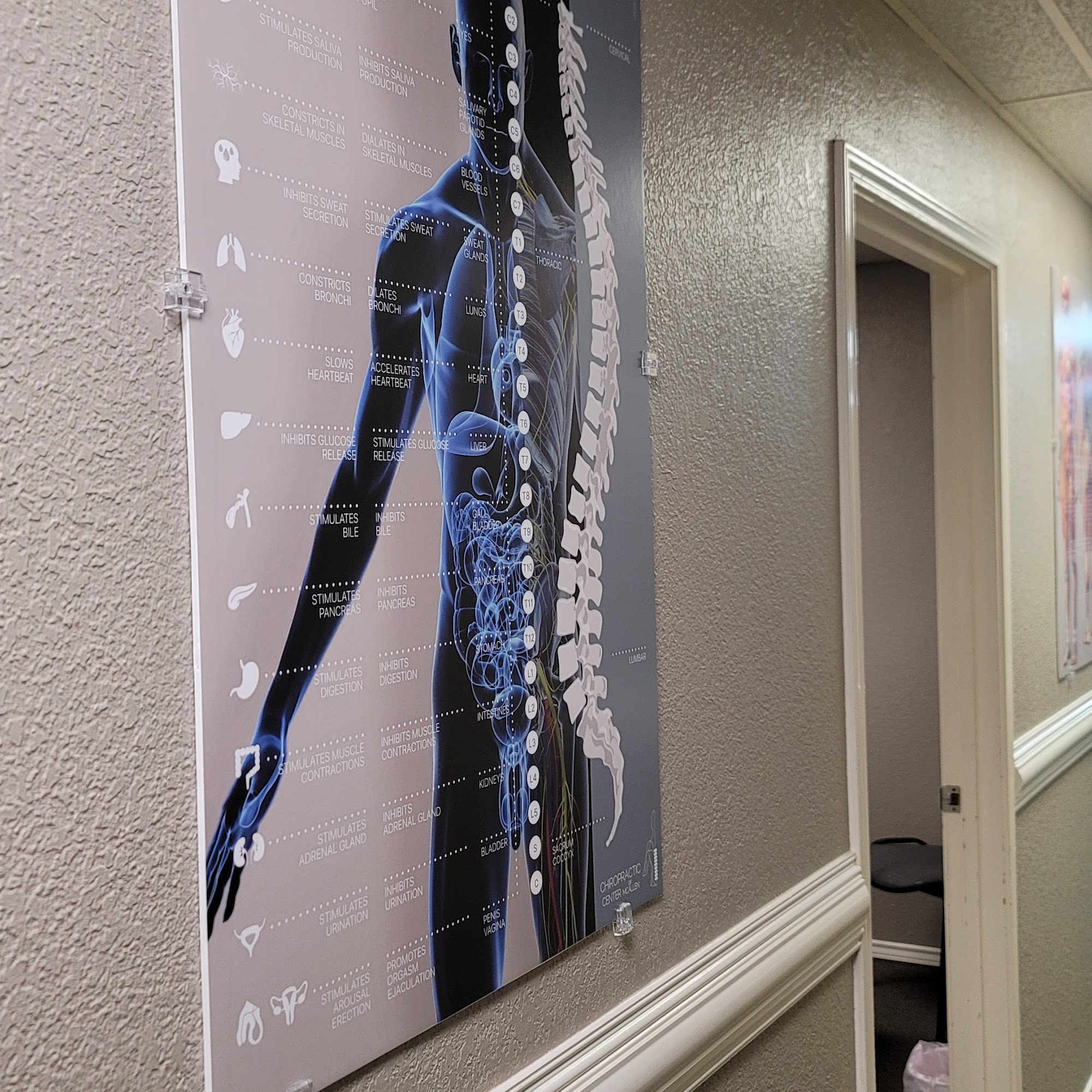 DR JOEY LONGORIA, DC