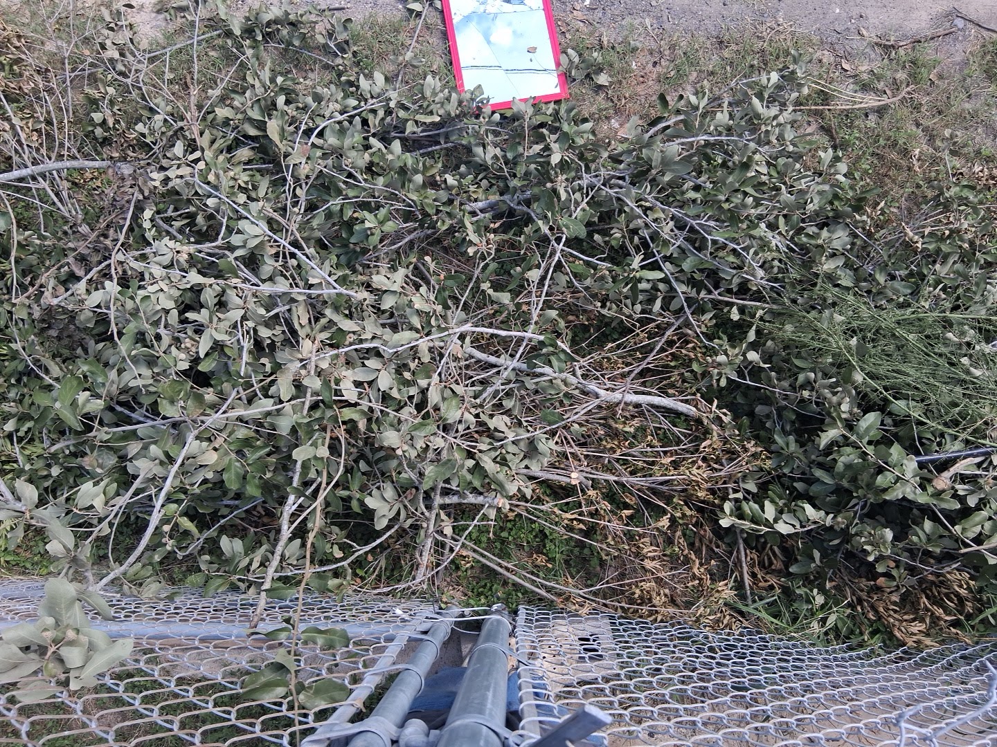 McAllen Public Works Department Mcallen