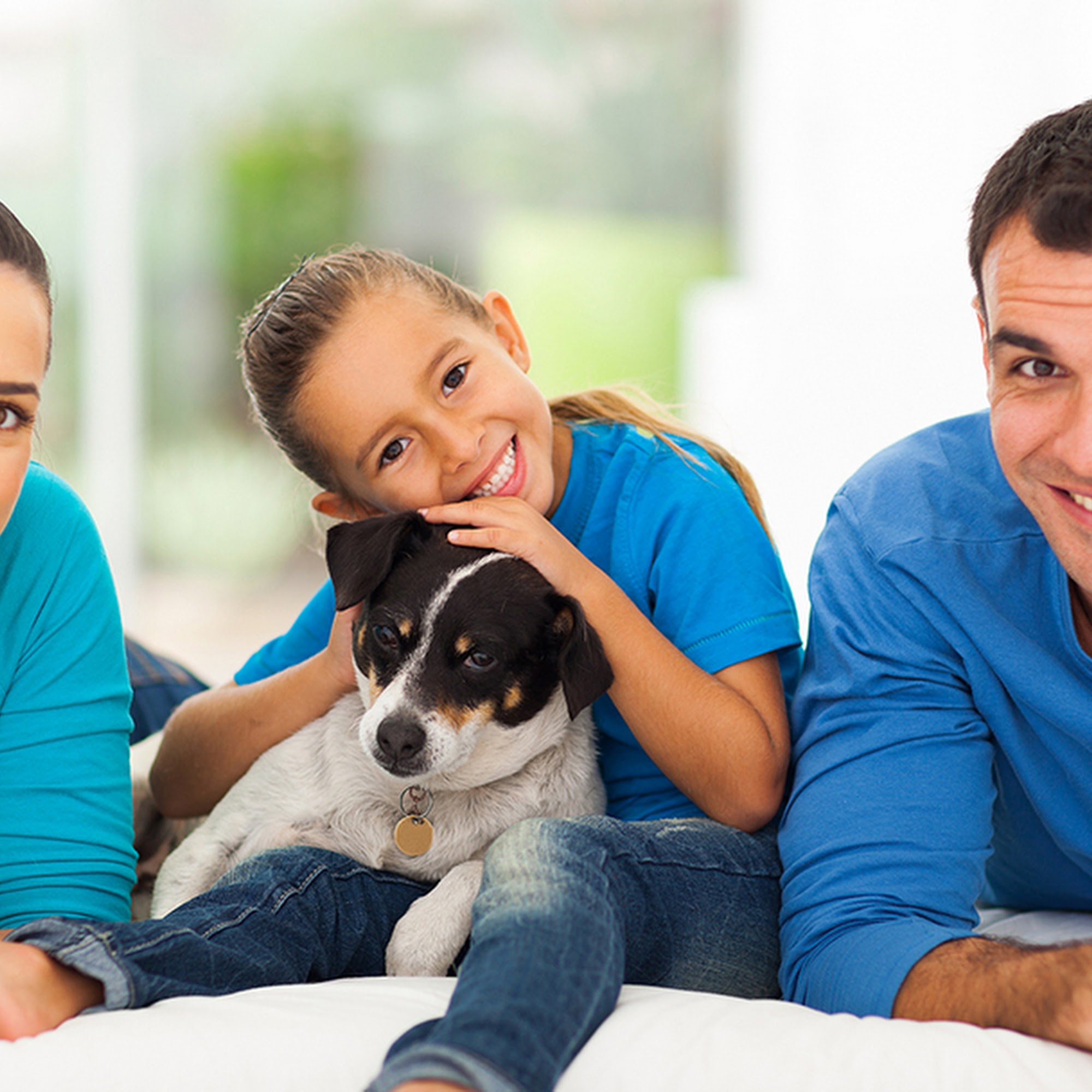 Animal Hospital of Melissa Melissa