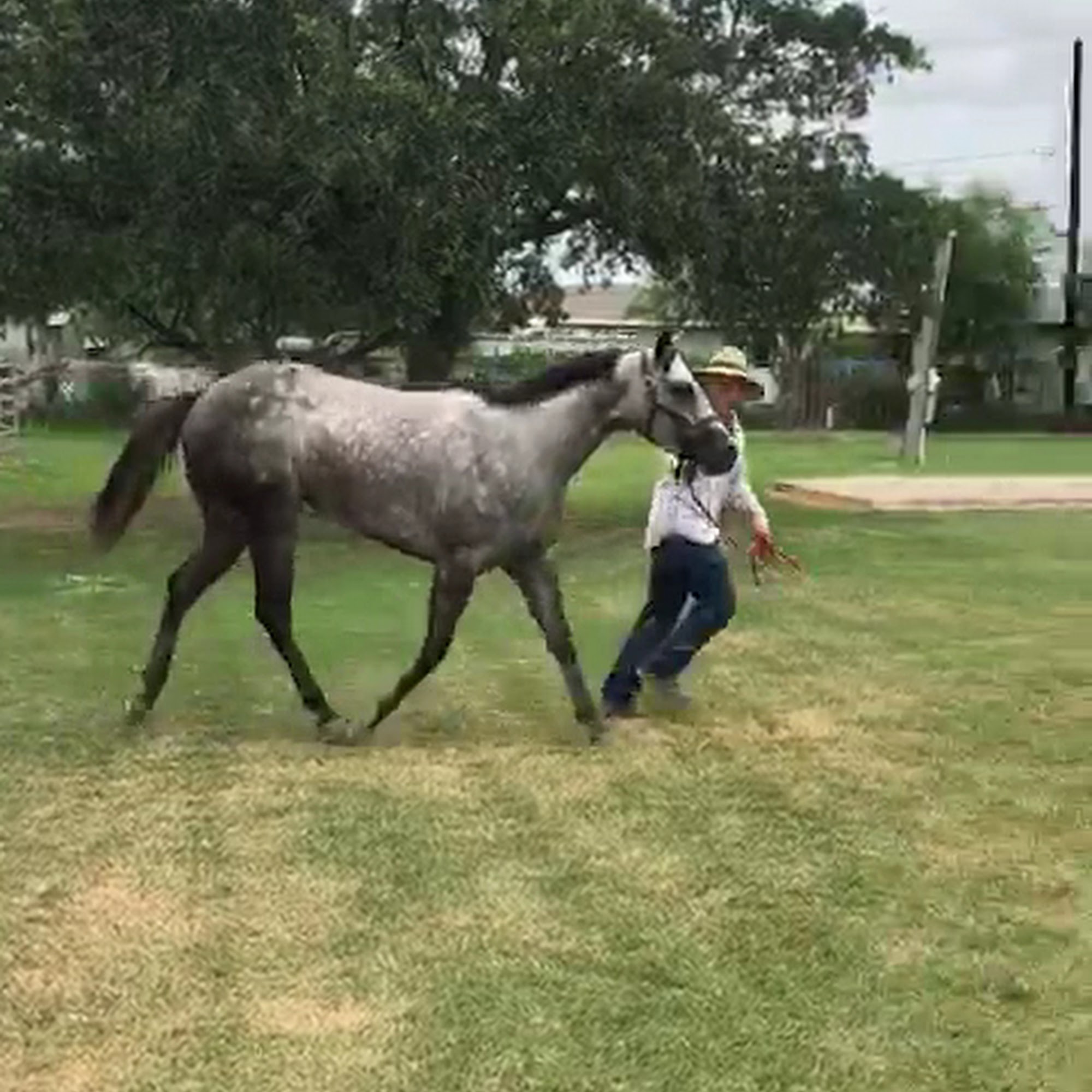Rio Rico Veterinary Services, Jack Valerius D.V.M Mercedes