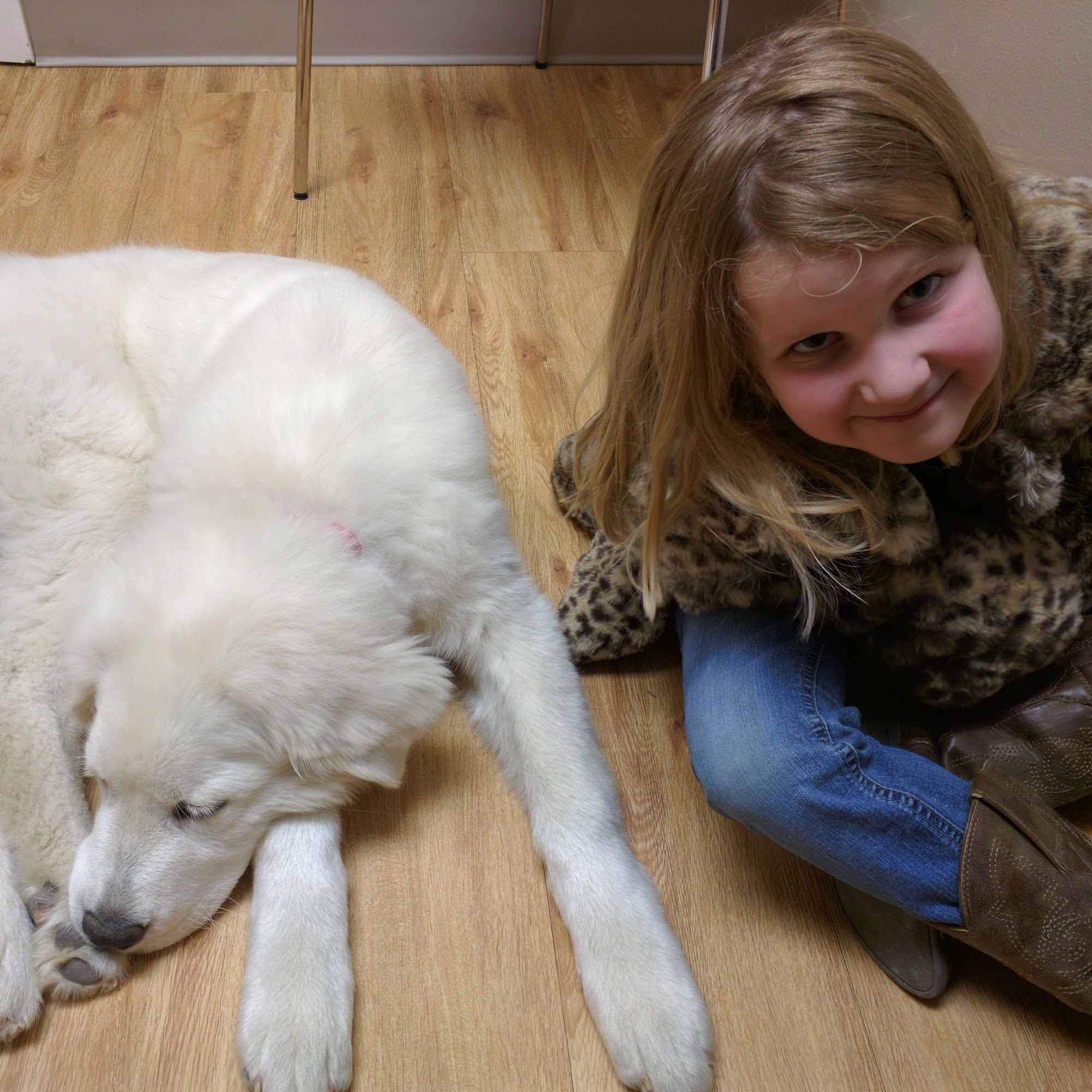 Bosque County Veterinary Clinic Meridian