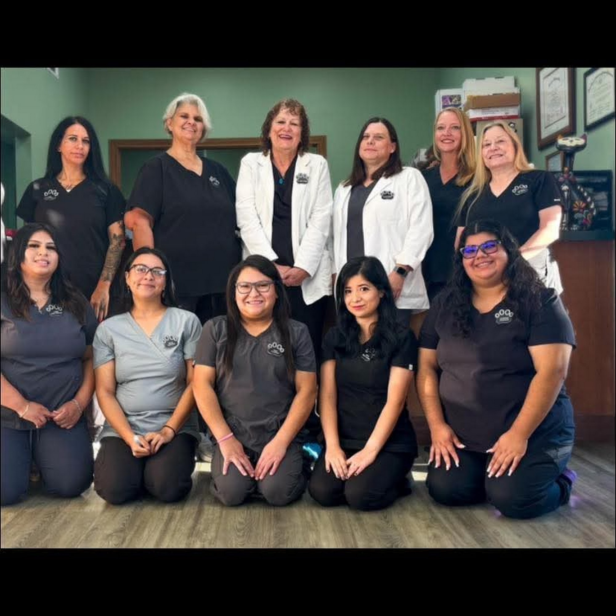 Rodeo Drive Veterinary Hospital Mesquite