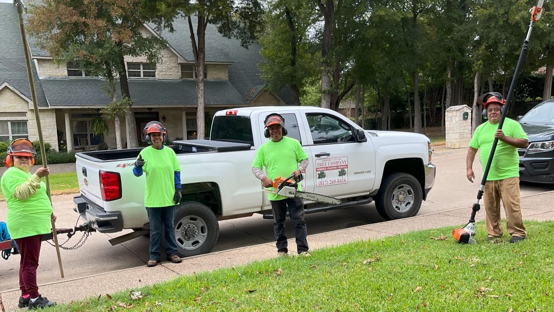 Arborculture Tree Services