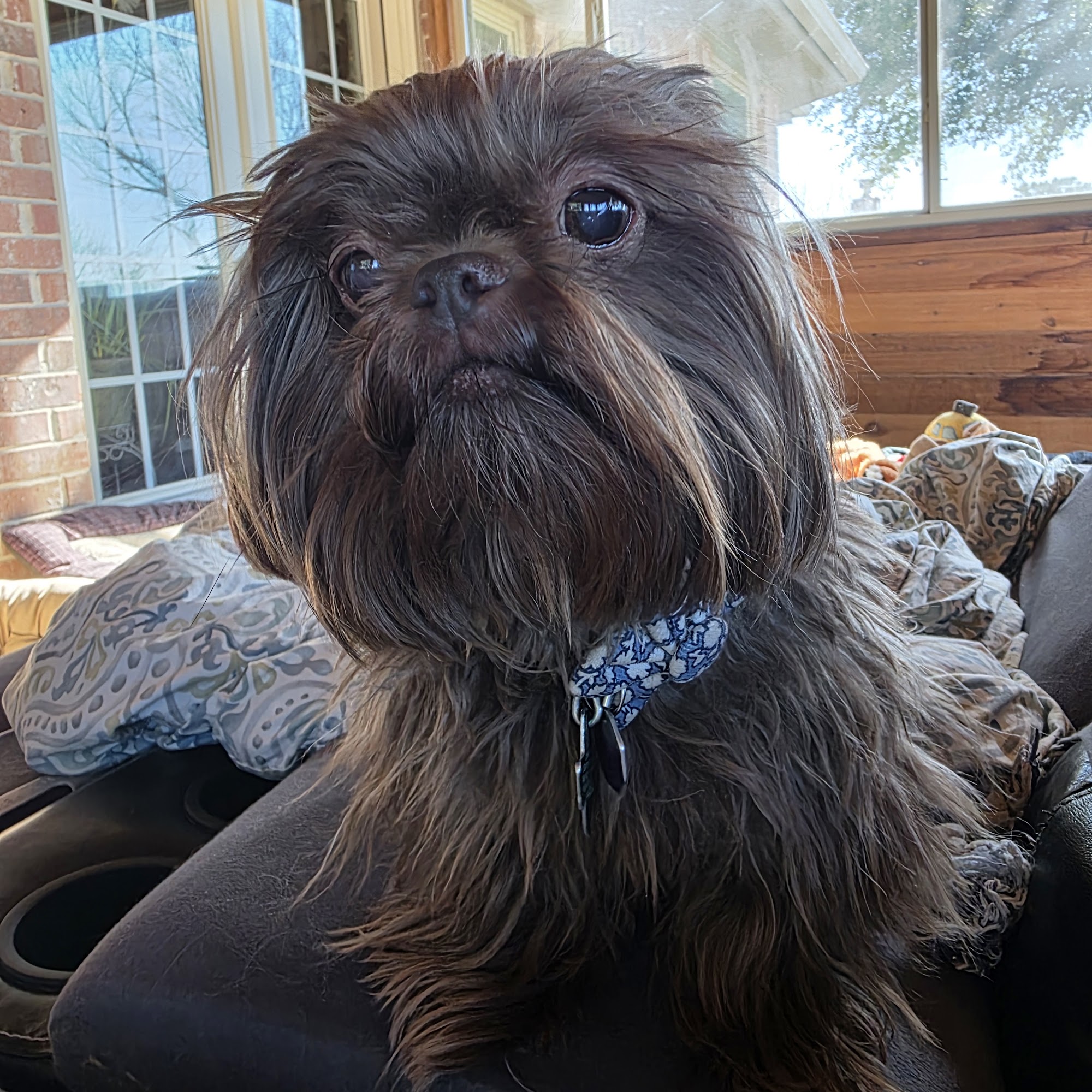 South FM 113 Veterinary Services Millsap