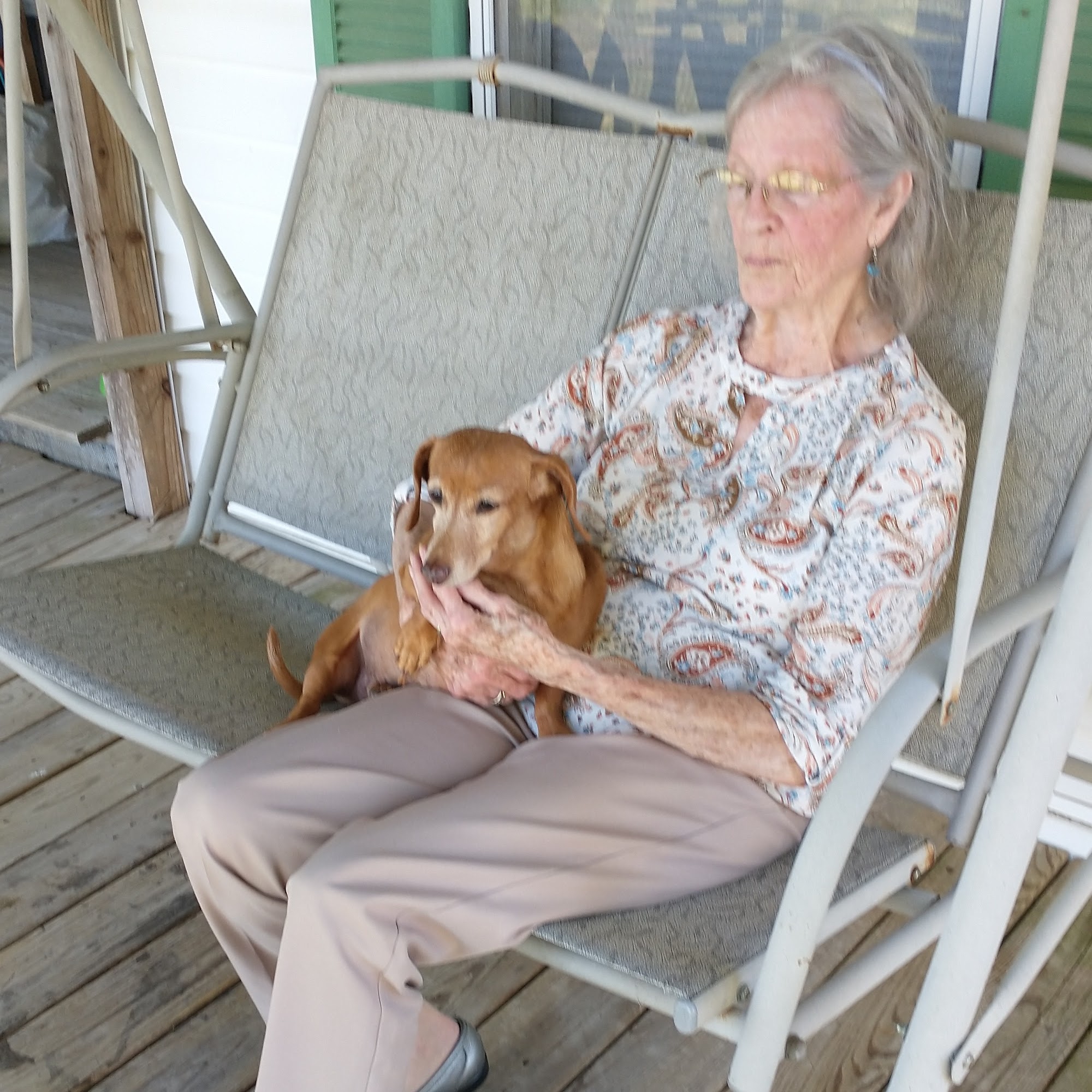 Clifton D Bradshaw, DVM Mineola