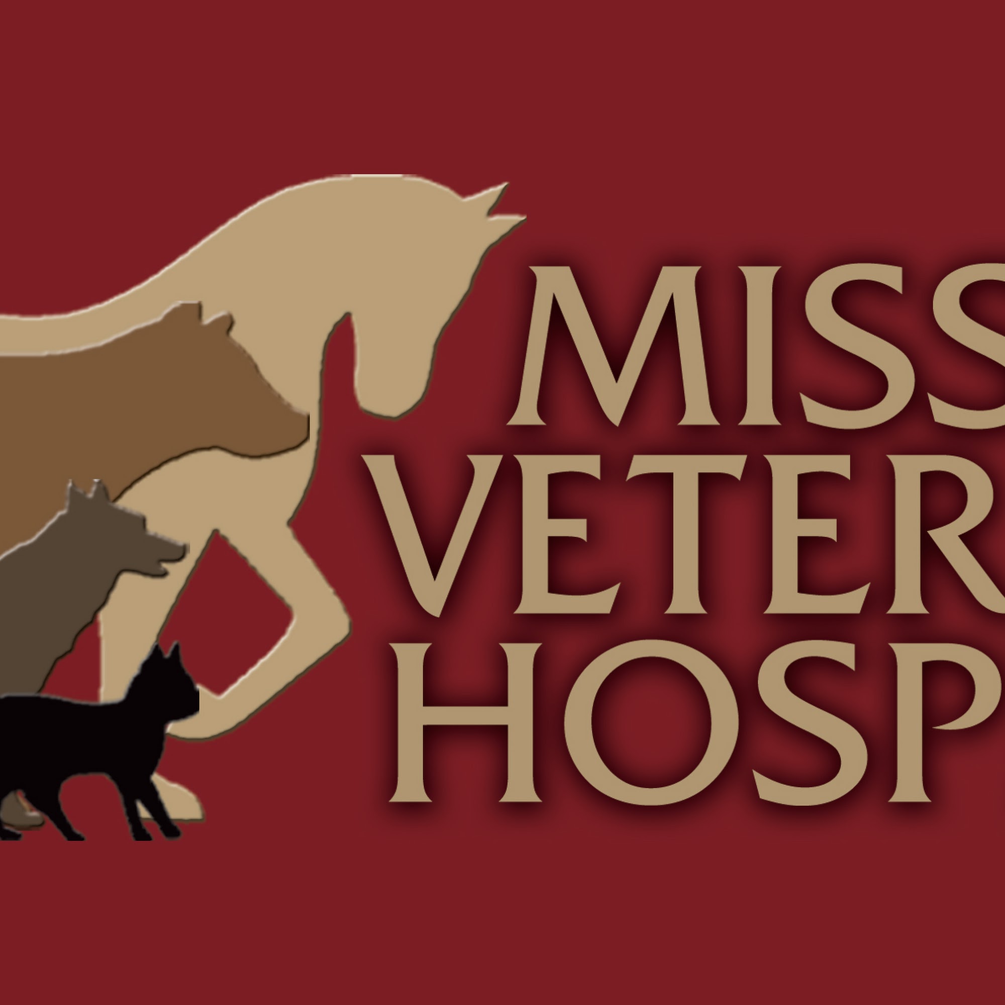 Mission Veterinary Hospital: C. Michele Fuentes, DVM Mission