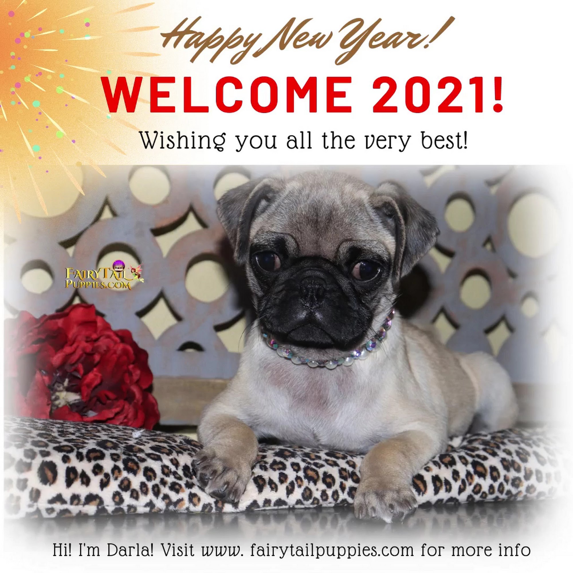 Fairytailpuppies LLC Mission