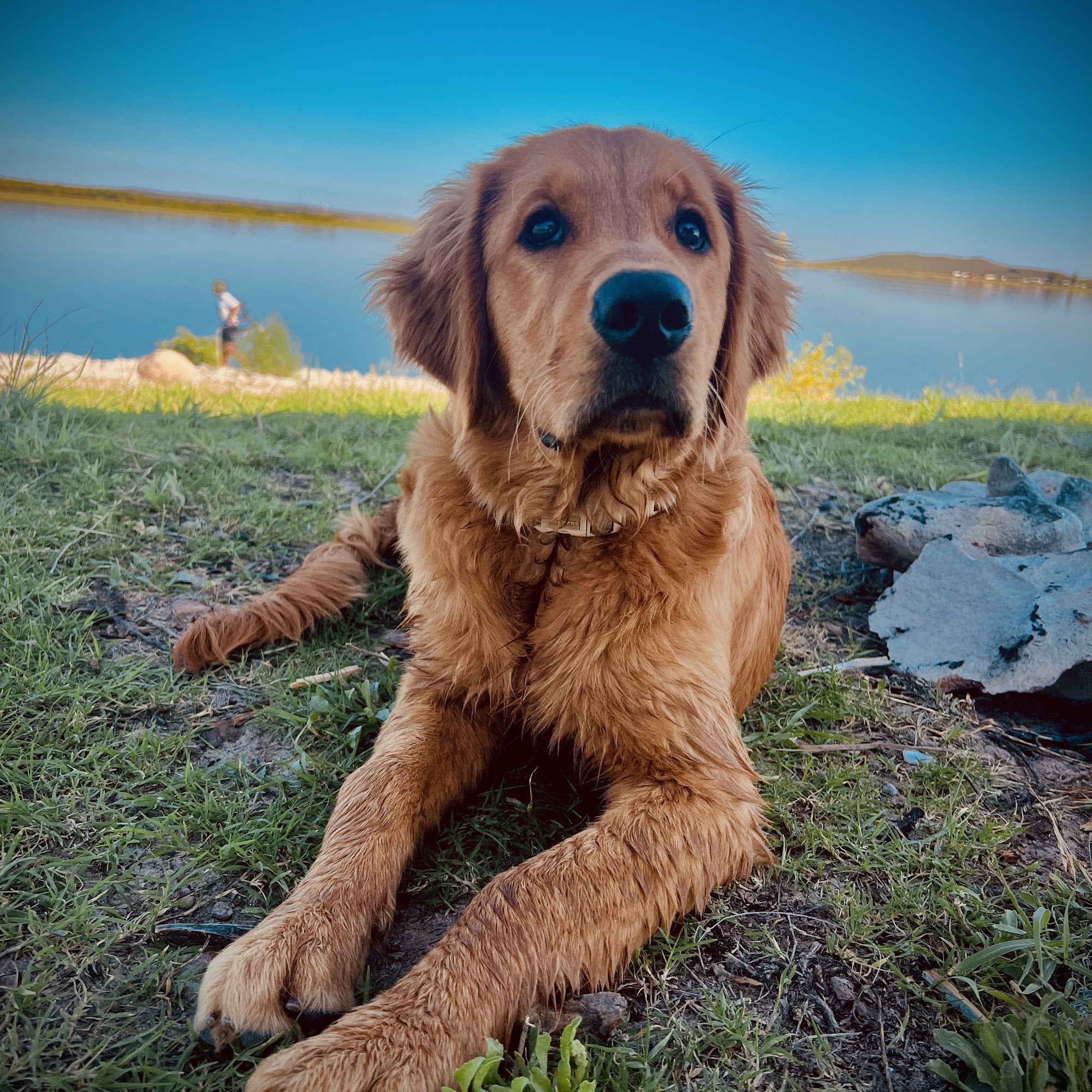 Out West Veterinary Services Monahans