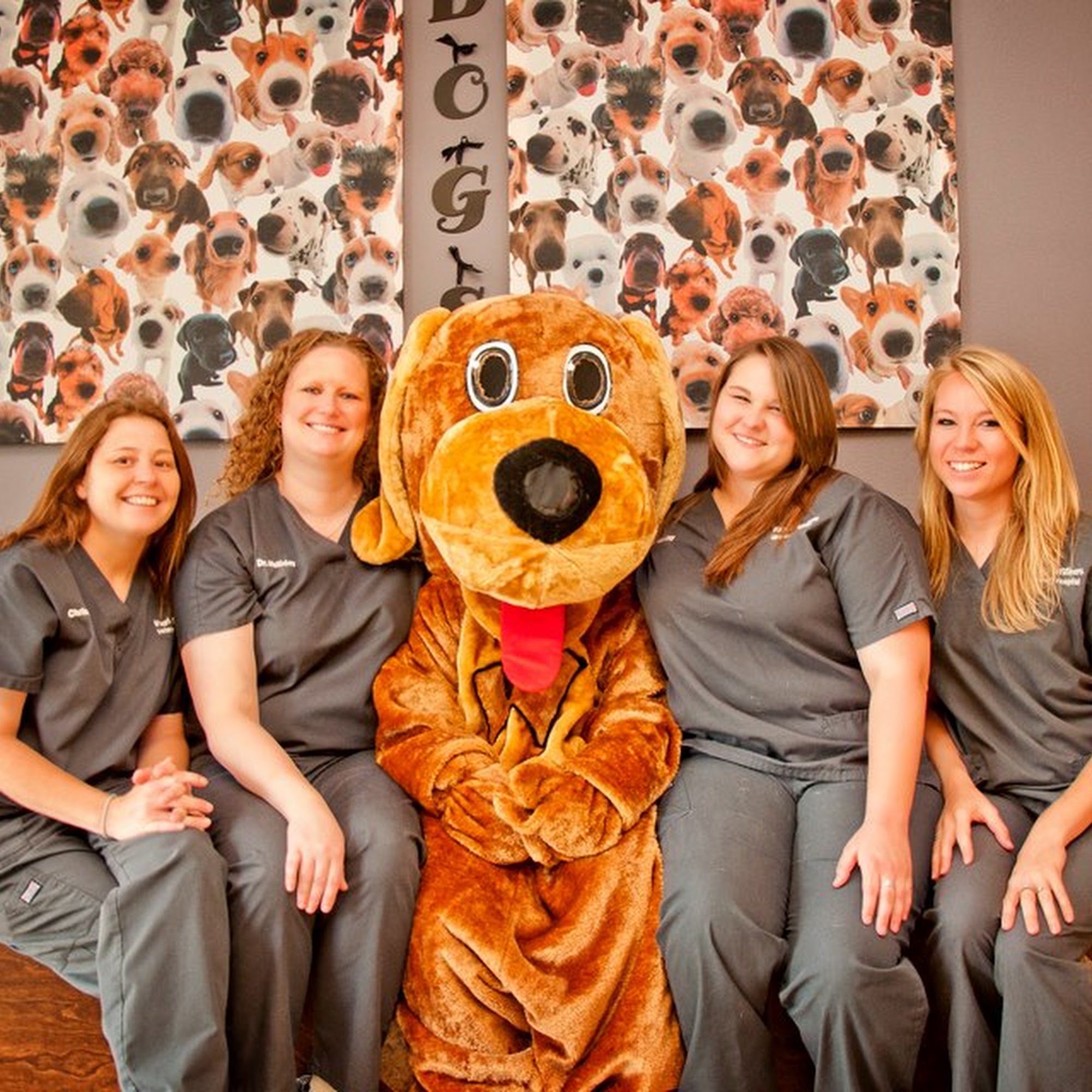 Wags 2 Whiskers Veterinary Hospital Montgomery