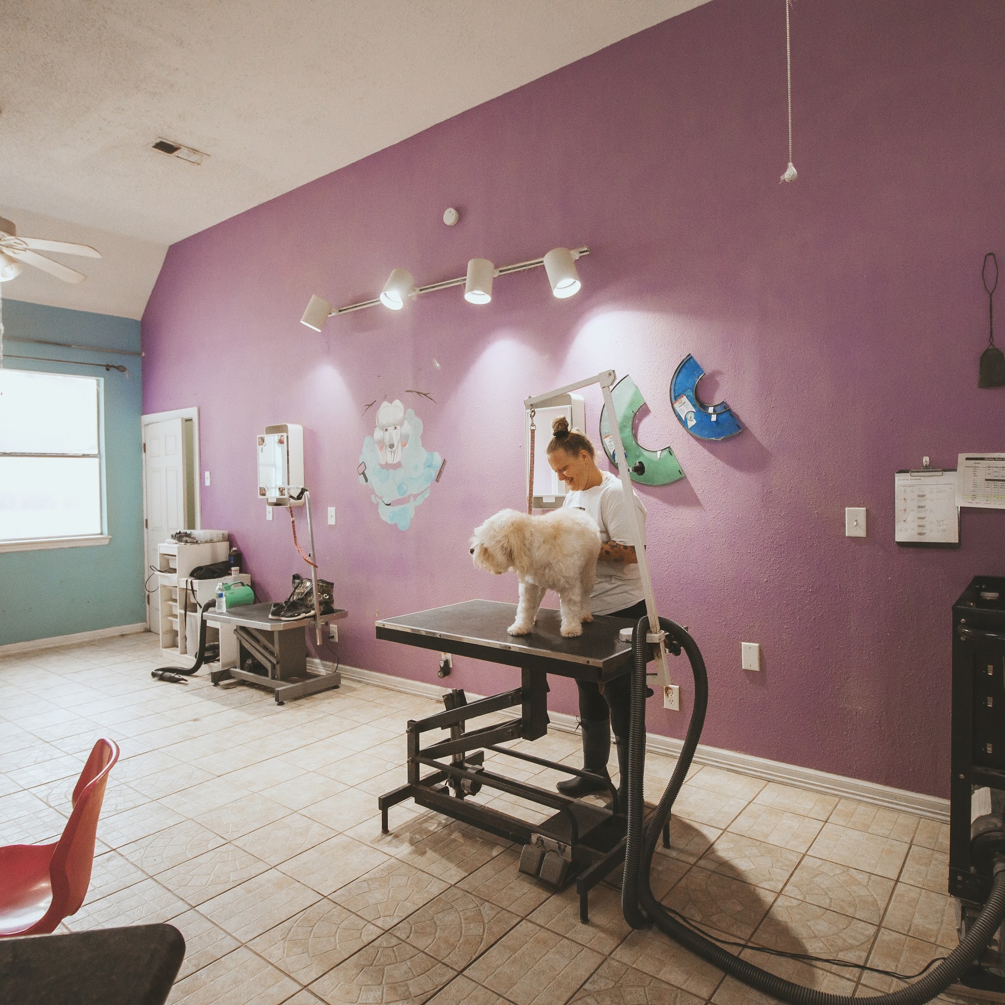 The Barkly Pet Retreat & Spa, LLC Montgomery