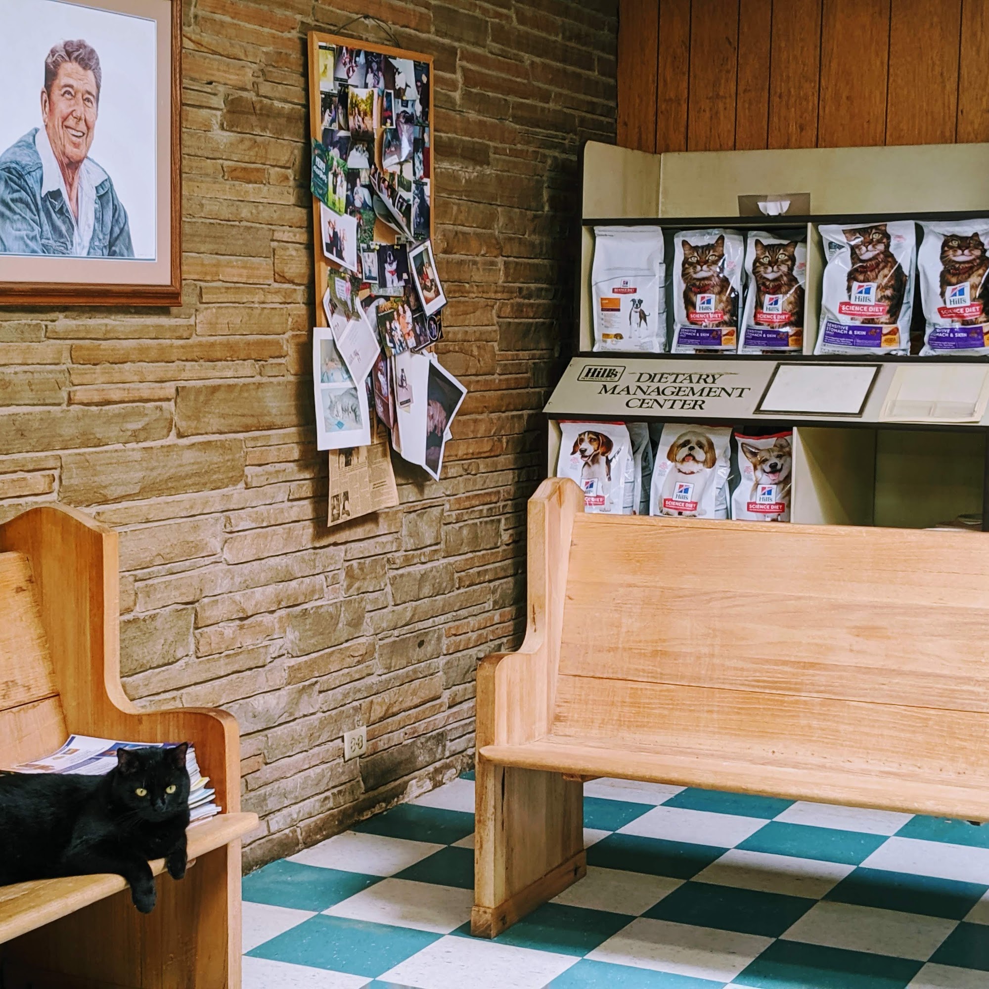 Bruechner Animal Hospital Mount Pleasant