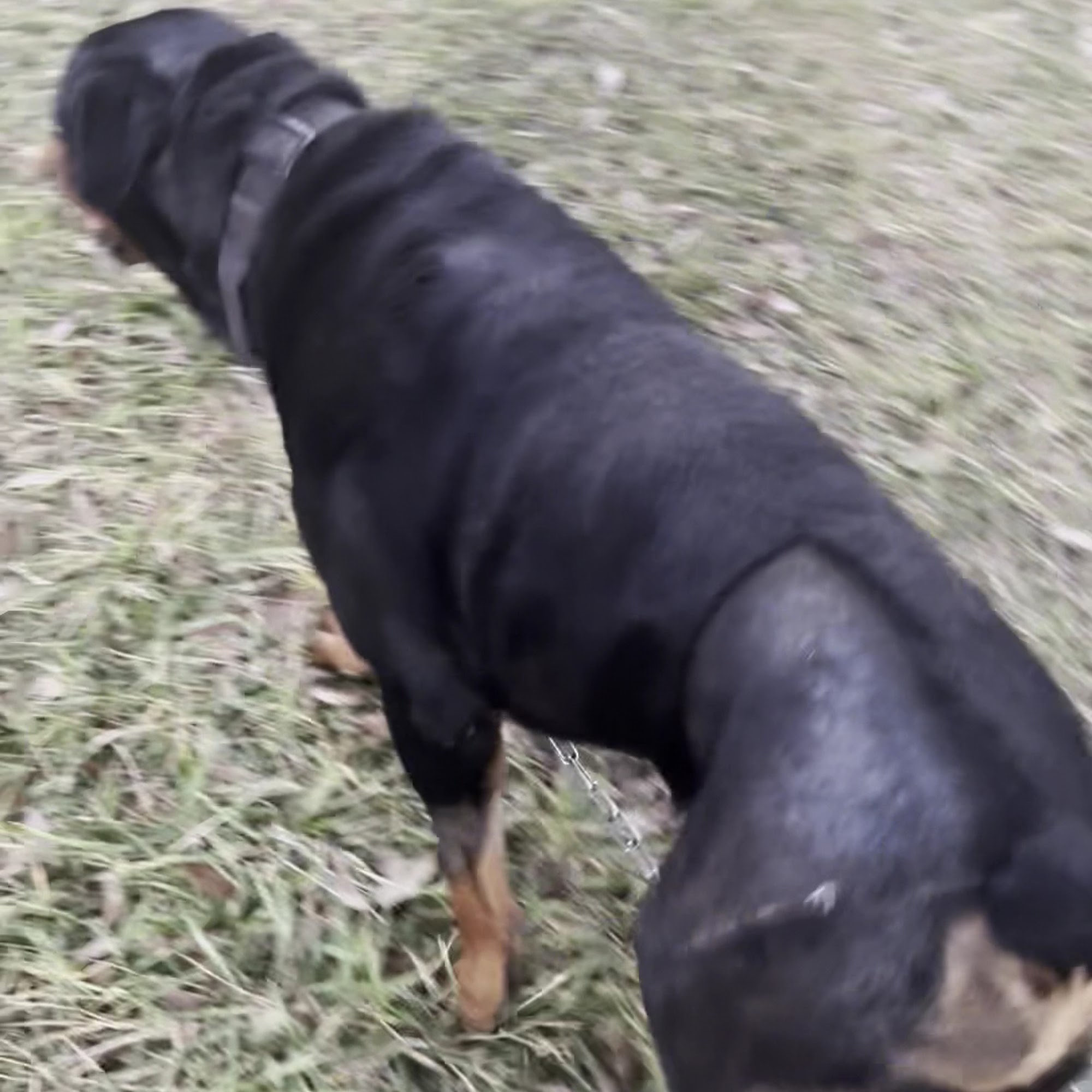 Spurlock Road Veterinary Clinic Nederland