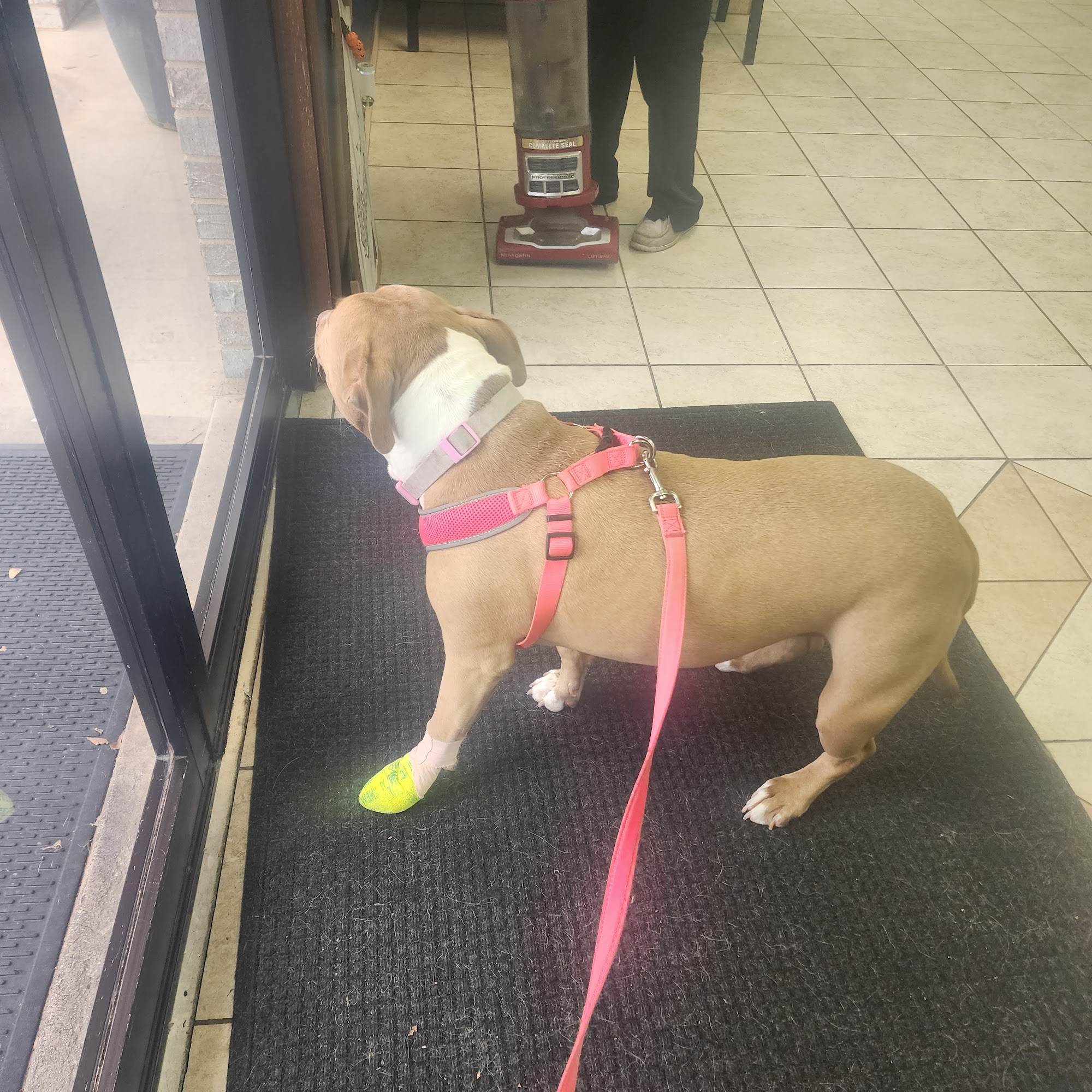 Fischer Veterinary Clinic New Braunfels