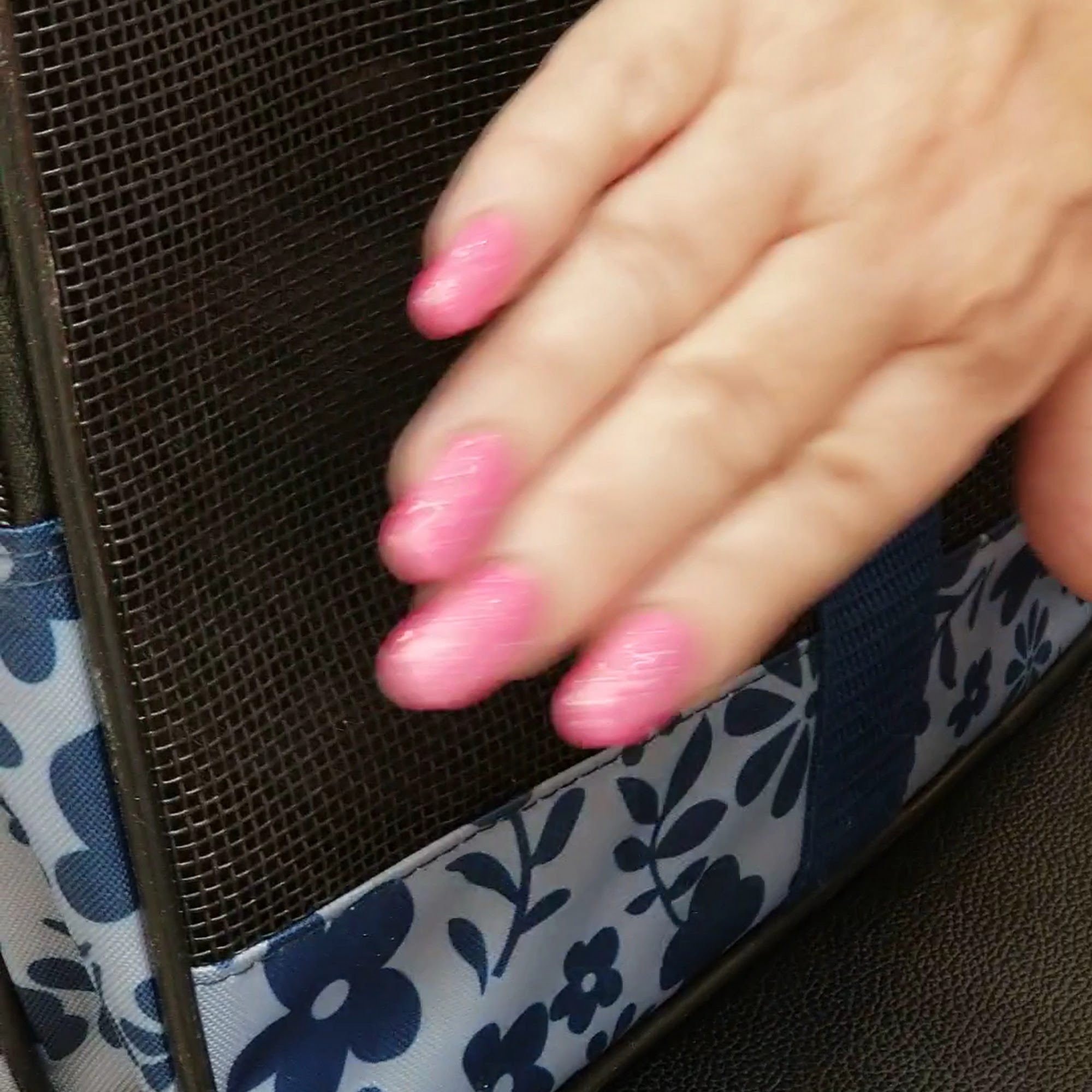 Comal Pet Hospital & Resort New Braunfels