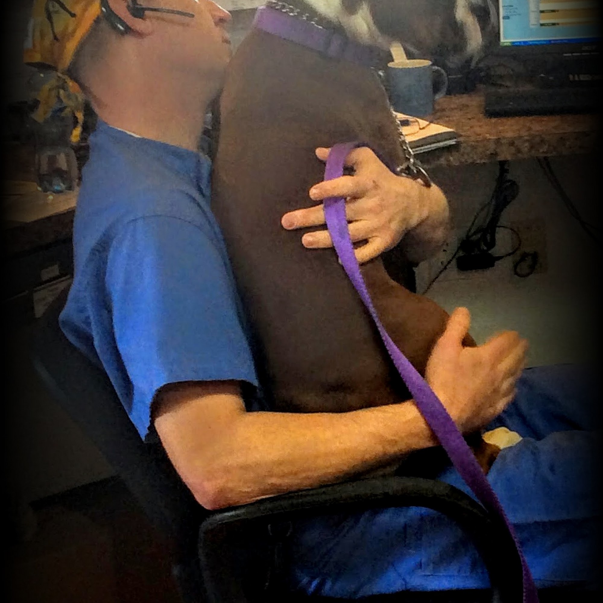 Paris Veterinary Associates Paris