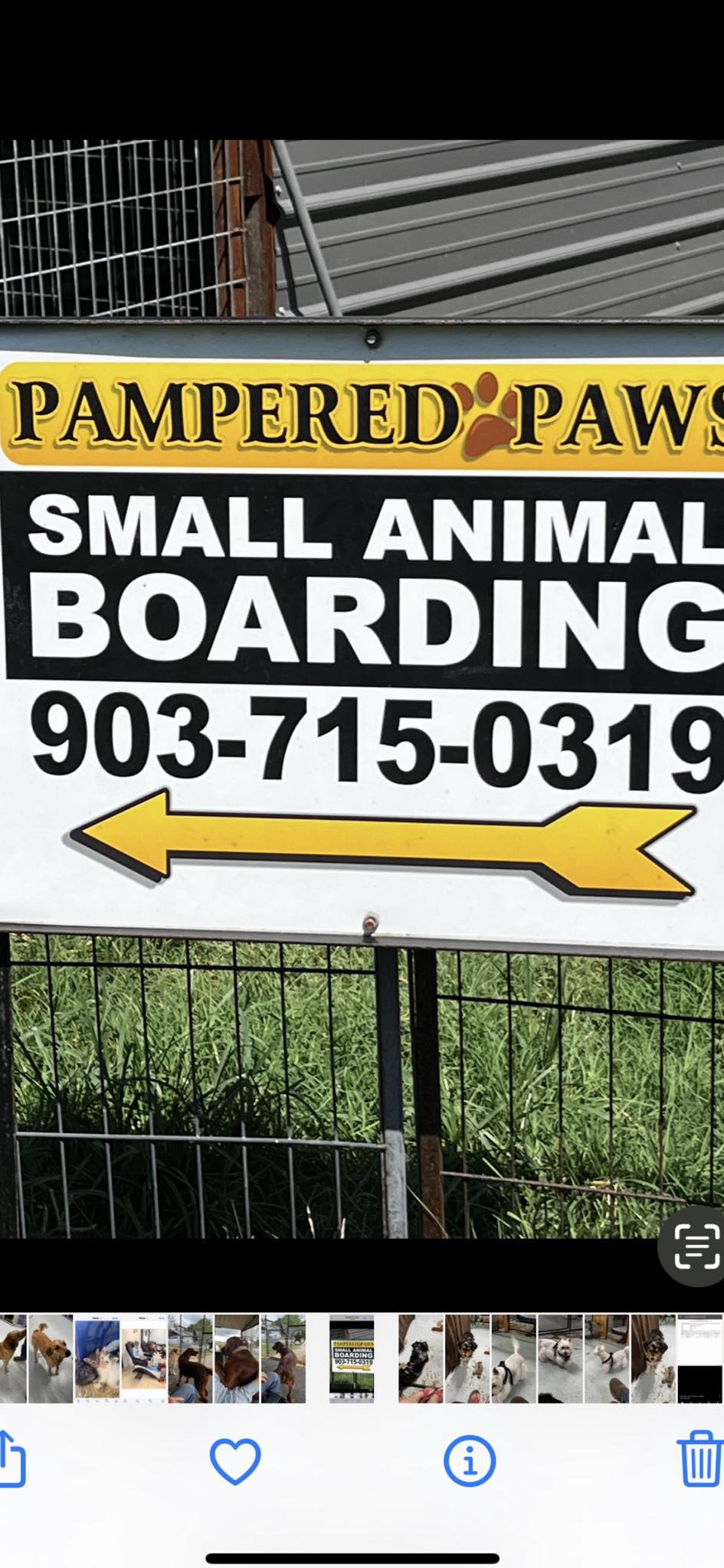 Pampered Paws Small Animal Boarding Paris