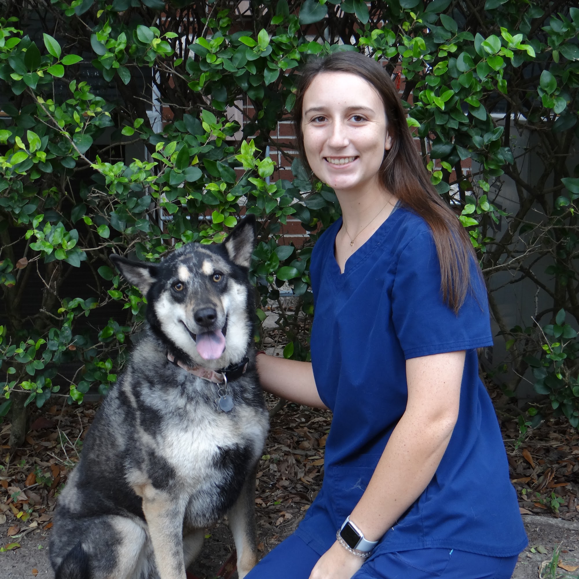 Angel Animal Hospital Pasadena