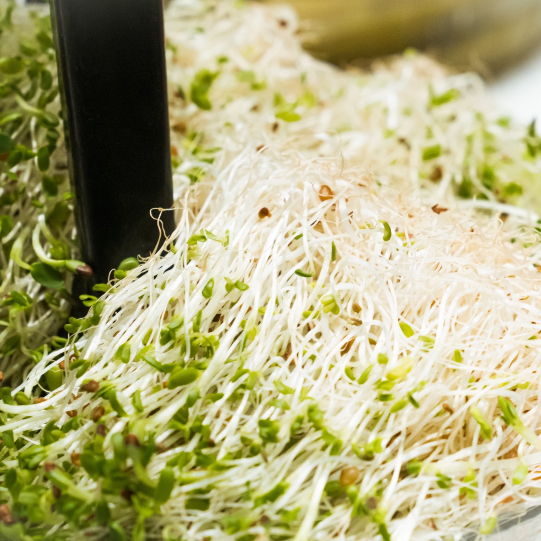 Souper Salad Pasadena