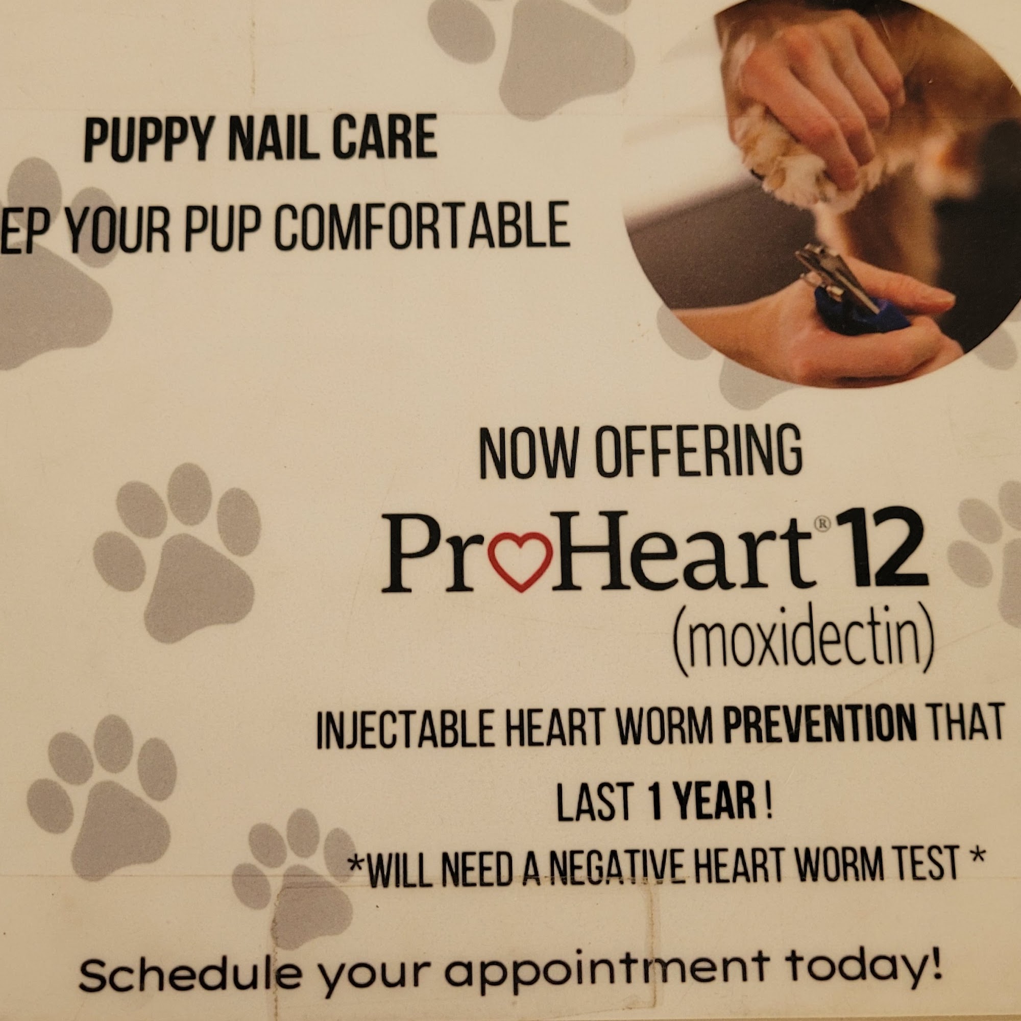 Michael H. Davis, DVM EqD Pearland