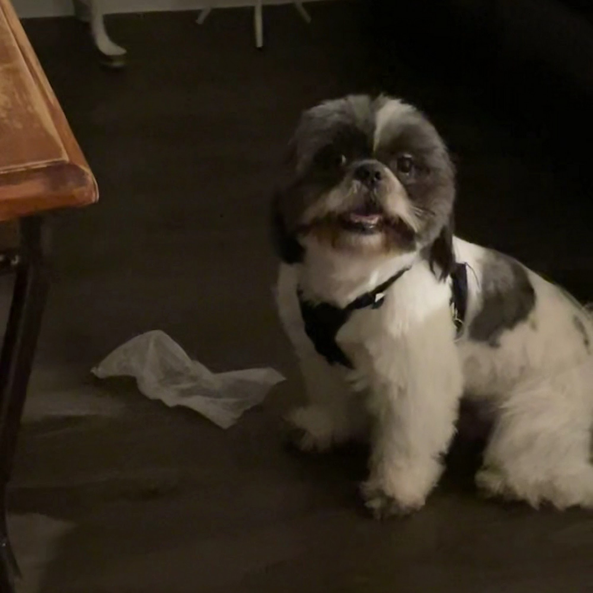 Pearland Barkway Pearland