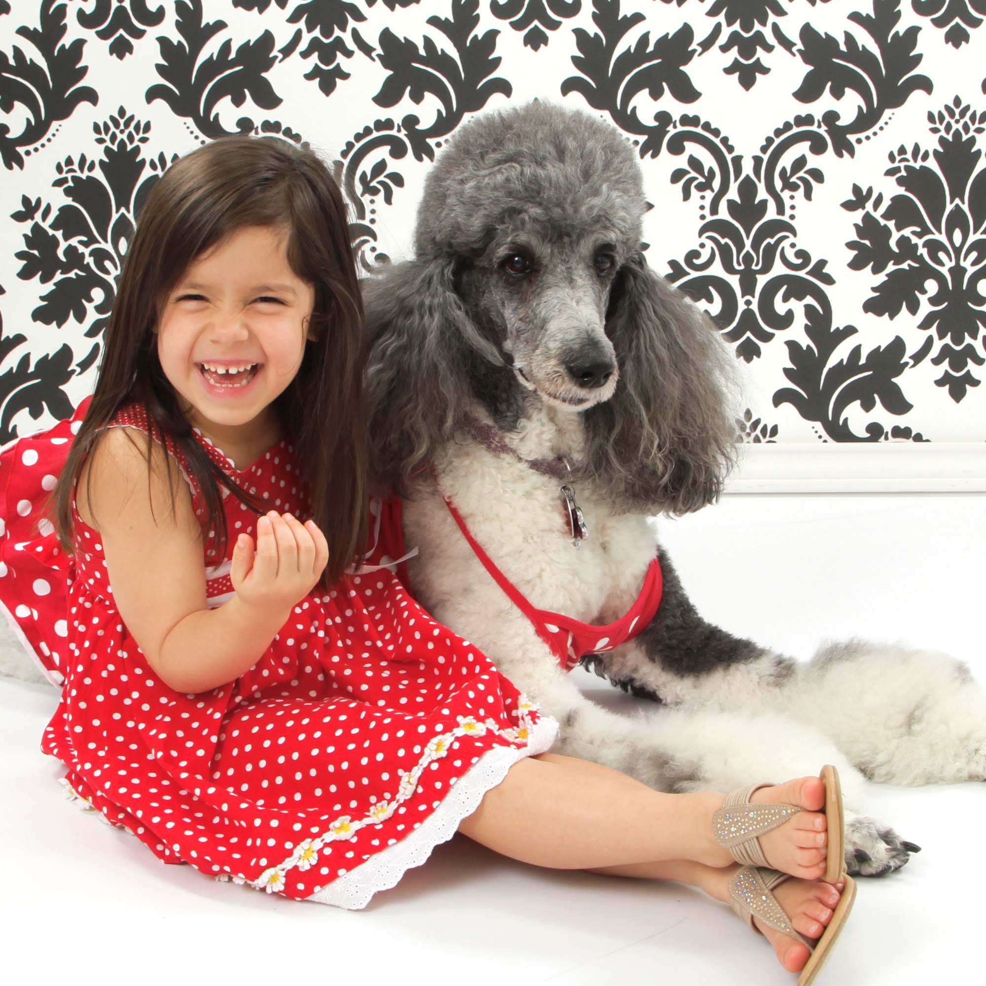 Beverly's Touch of Class Groom Pearland