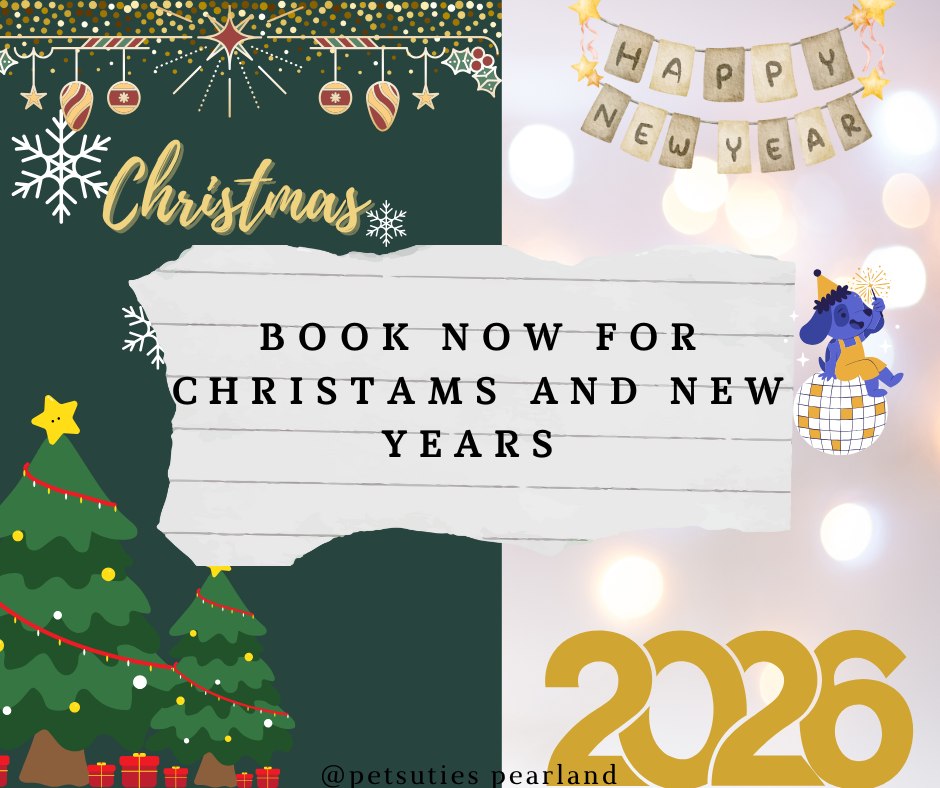 PetSuites Pearland Pearland