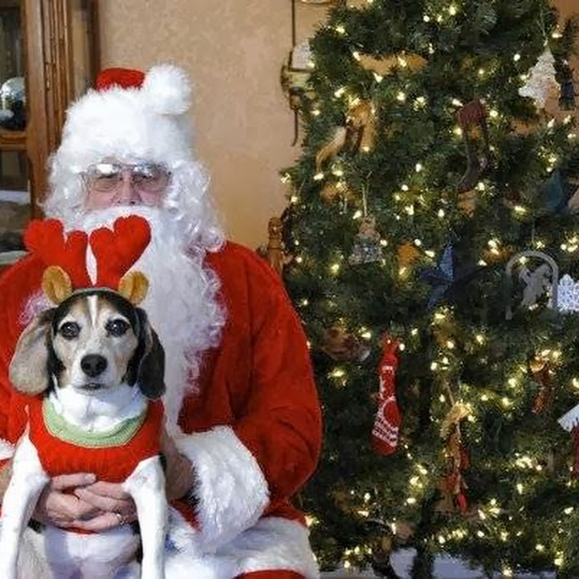 Central Texas Animal Hospital Pflugerville