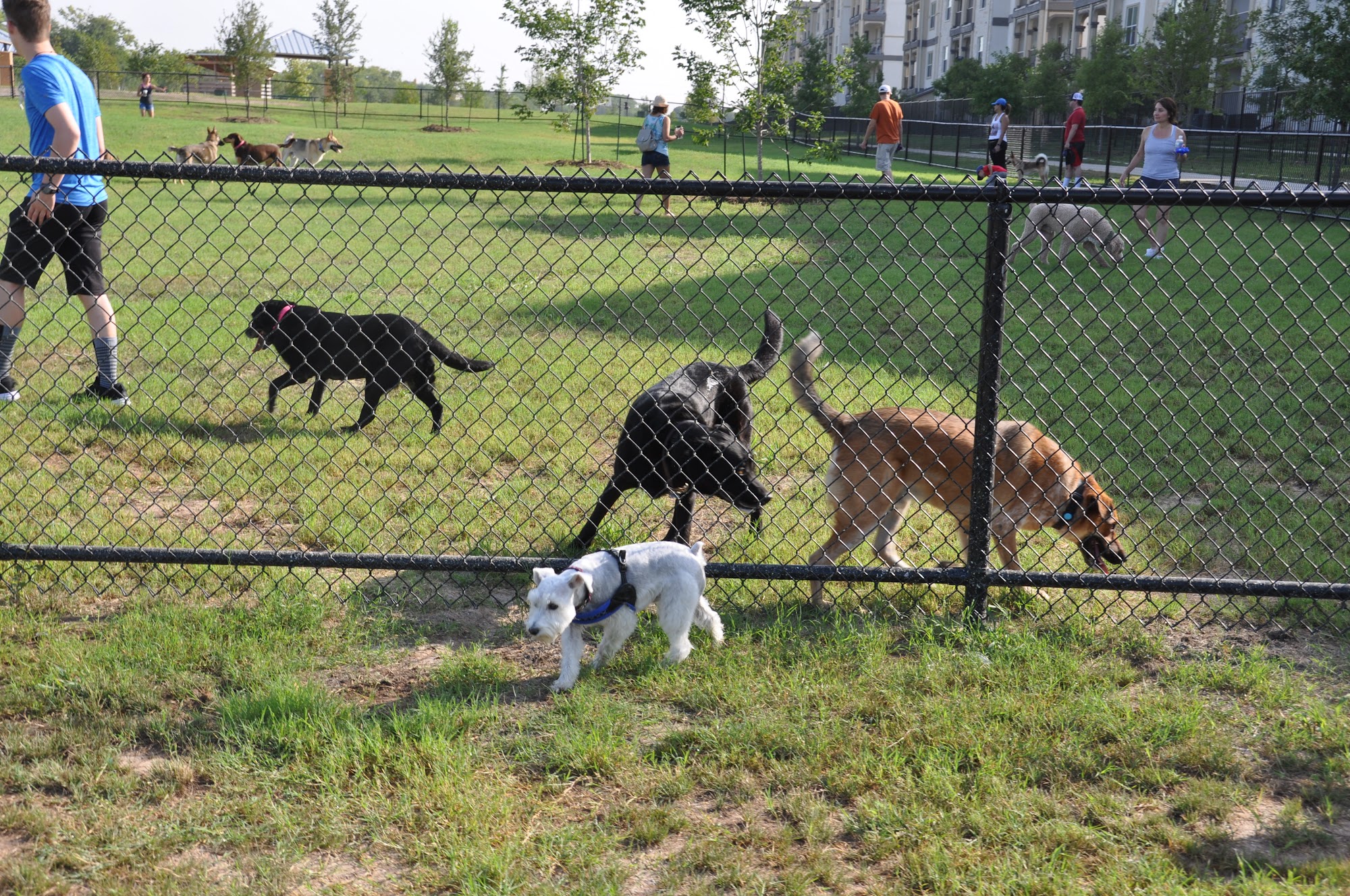 Stone Hill Park Pflugerville