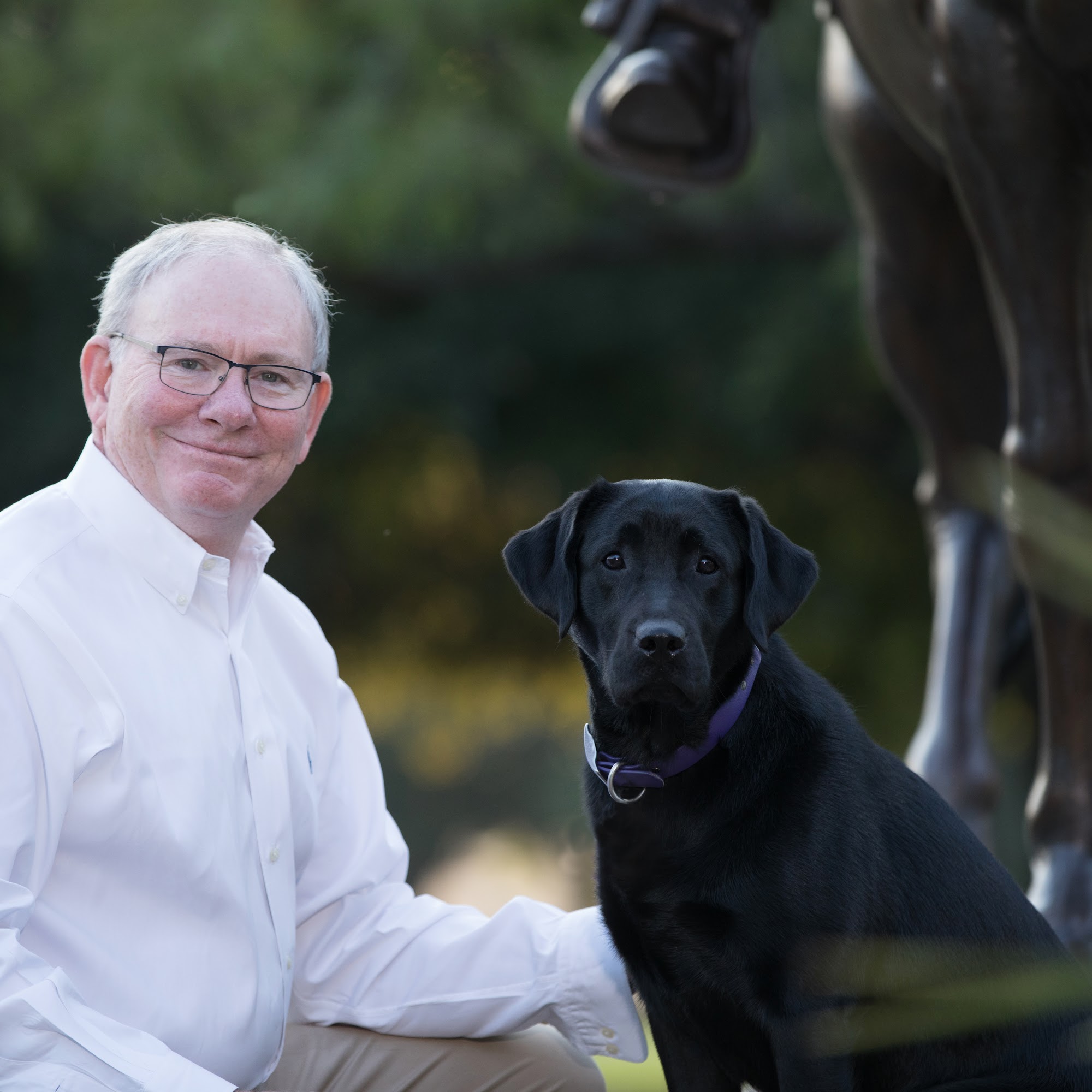 Mustang Veterinary Surgical Pilot Point