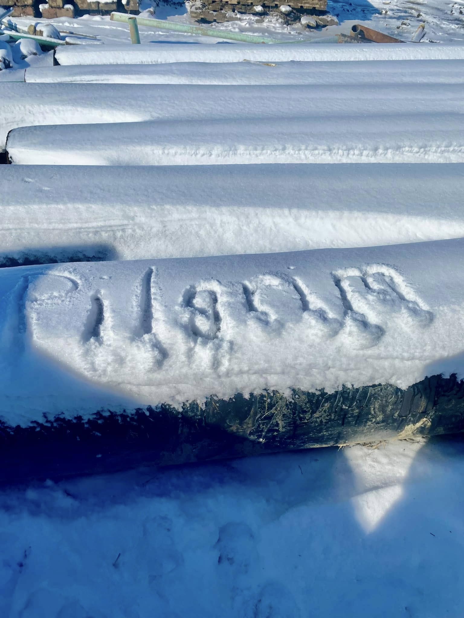 Pilgrim Contractors, Inc. 12522 Patridge Cir, Pinehurst Texas 77362