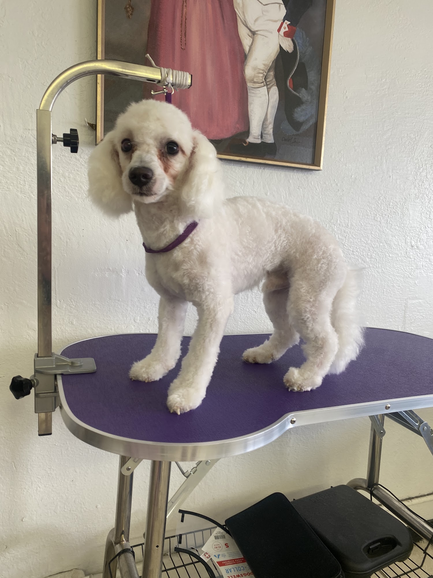 Happy Grooms Plainview