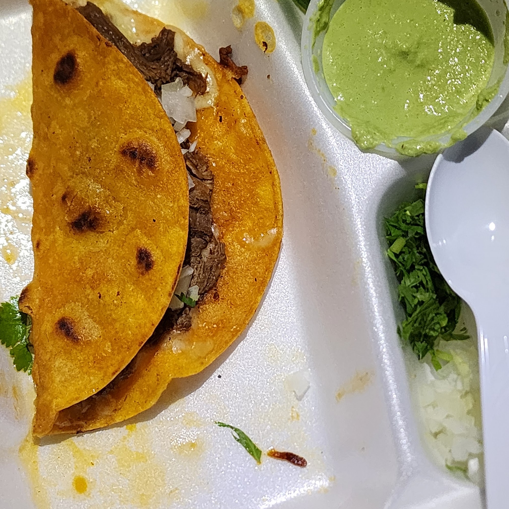 Mini Tacos El Tapatio 1600 W 5th St, Plainview