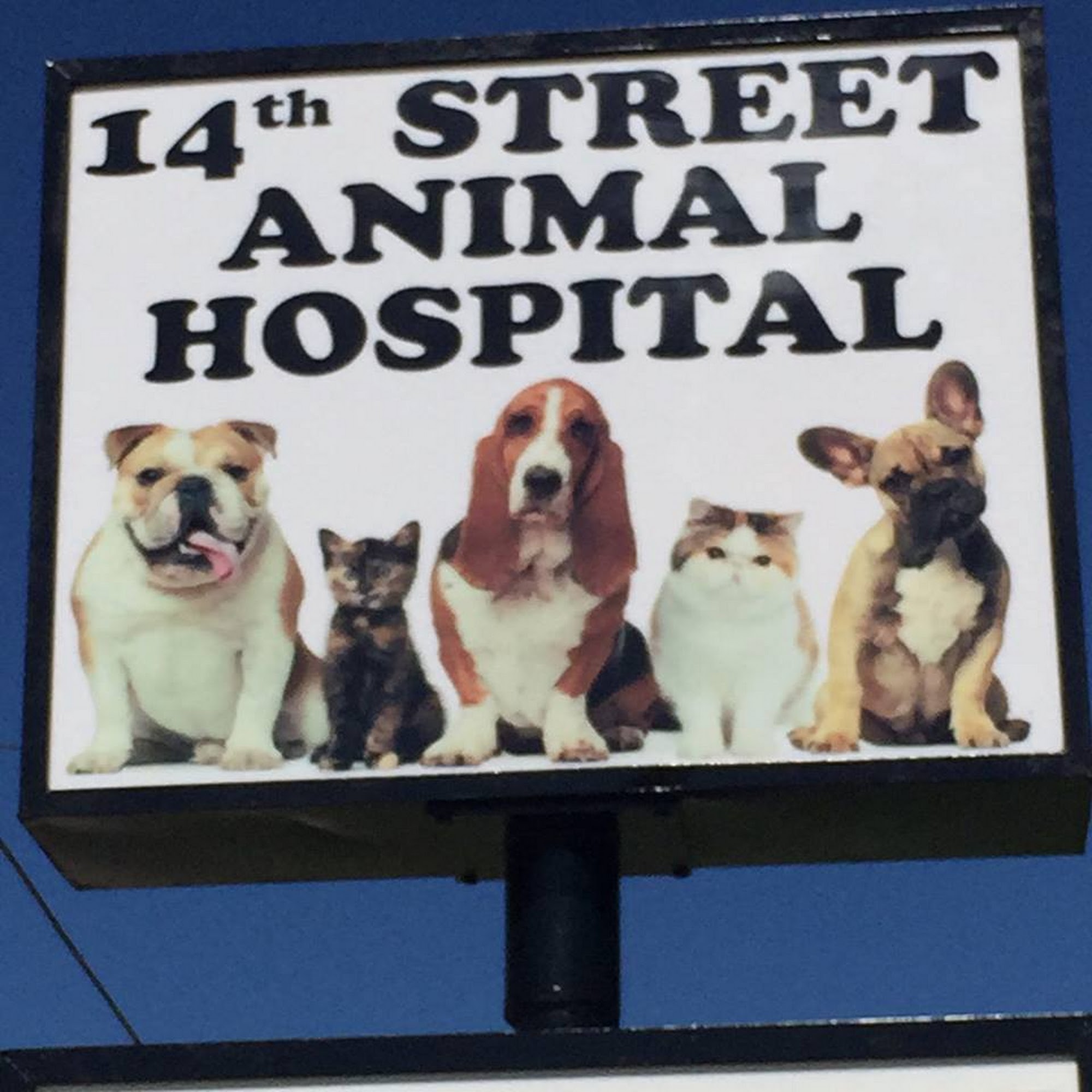 14th Street Animal Hospital Plano