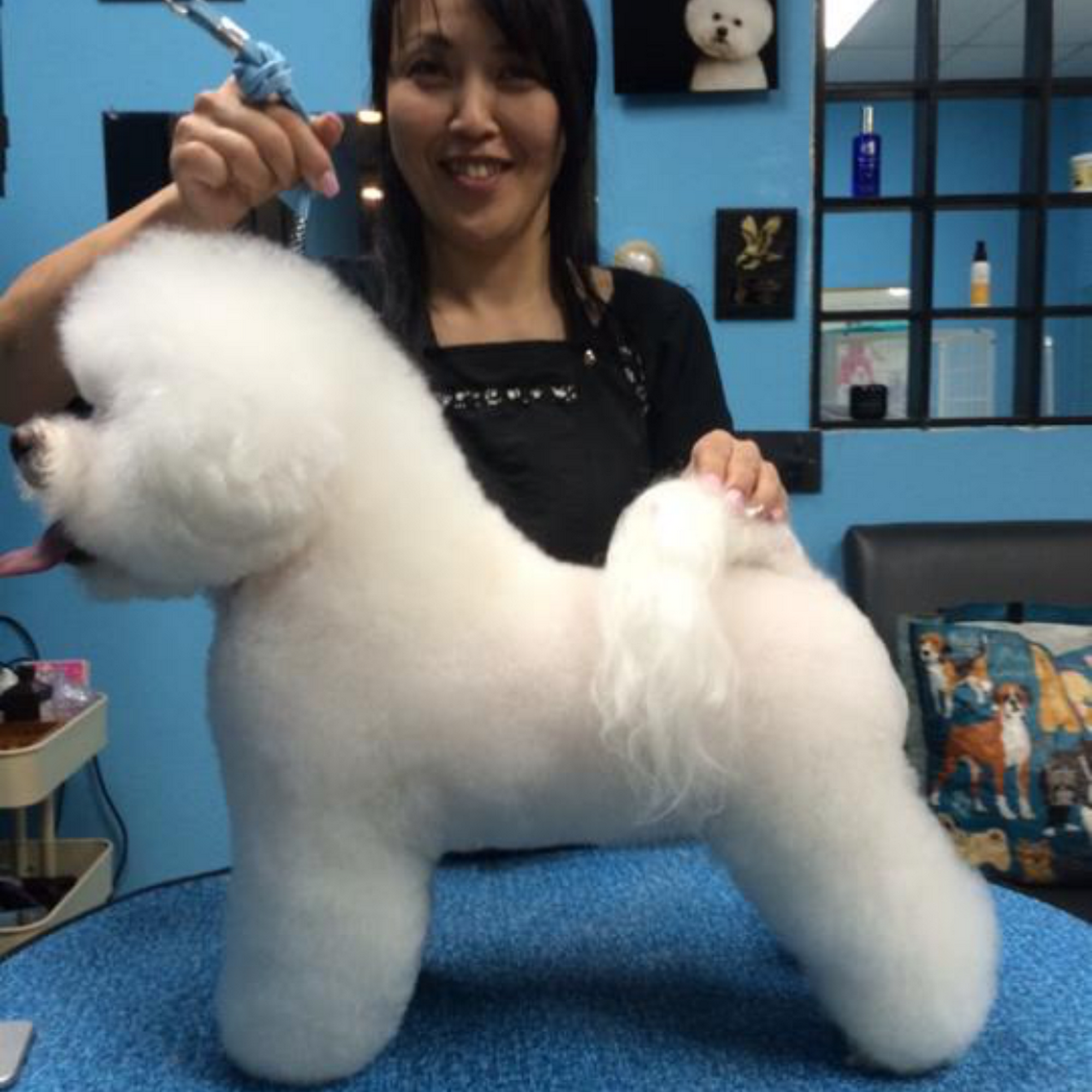 15th street pet grooming Plano