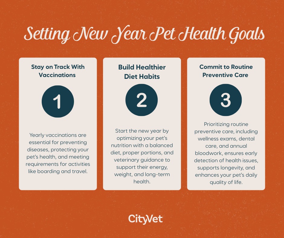 CityVet | Preston Park Plano